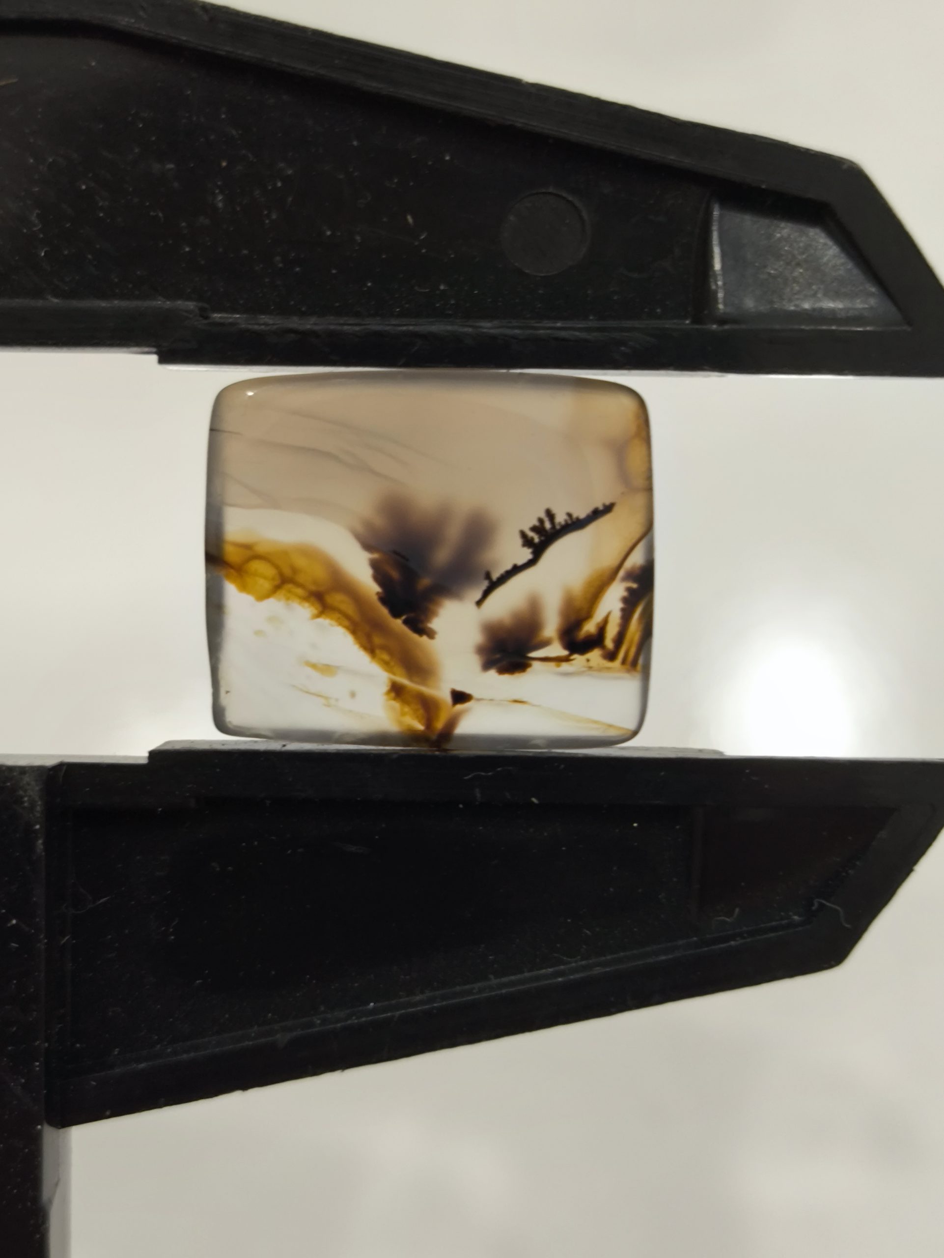 تصویر شجر طبیعی قائن کد 106 