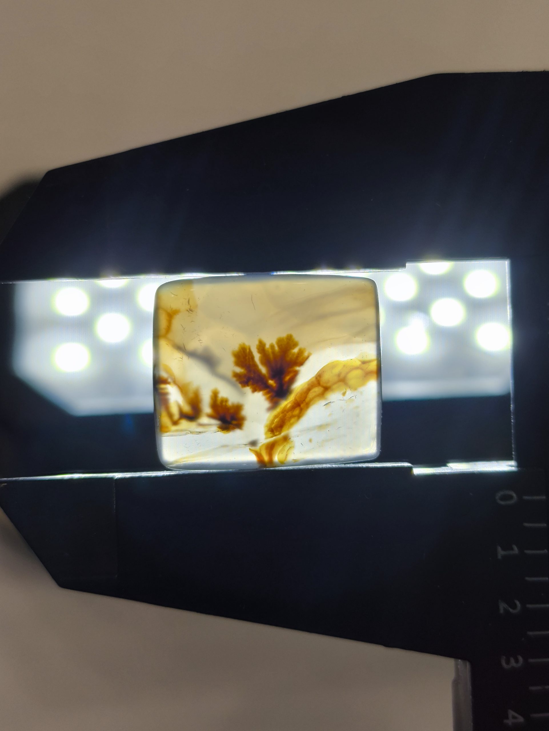 تصویر شجر طبیعی قائن کد 106 