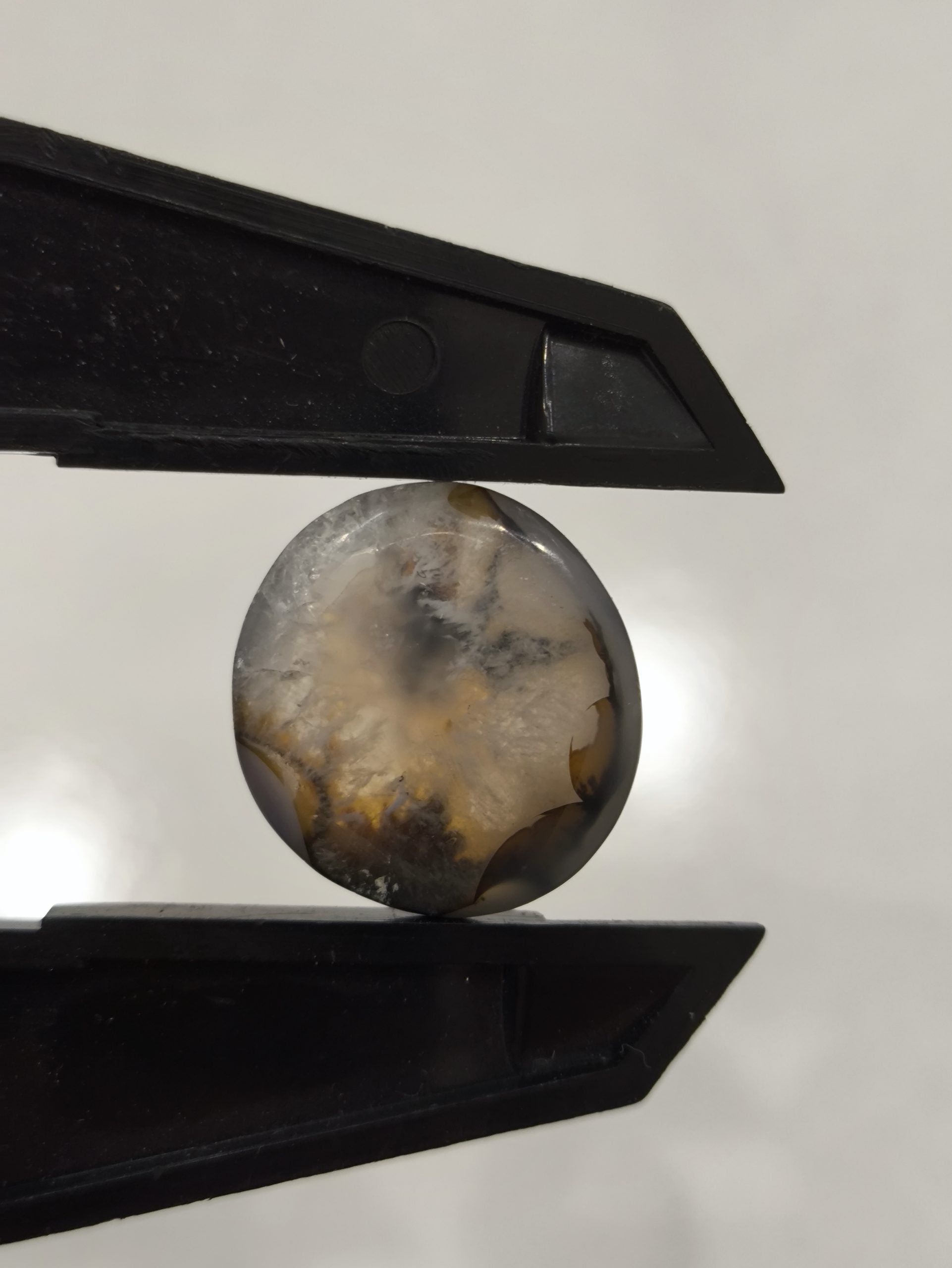 تصویر شجر طبیعی قائن کد 107 