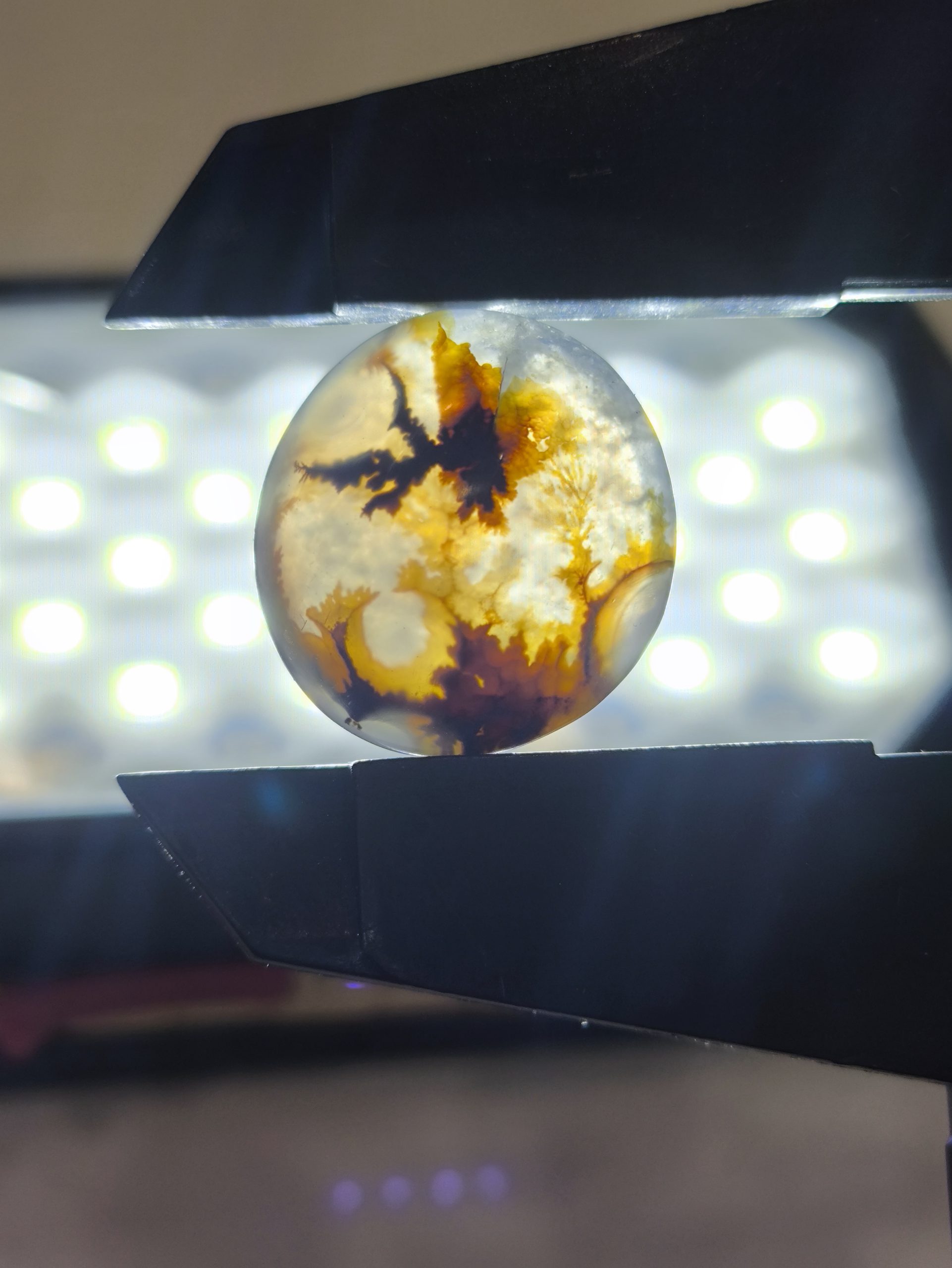 تصویر شجر طبیعی قائن کد 107 