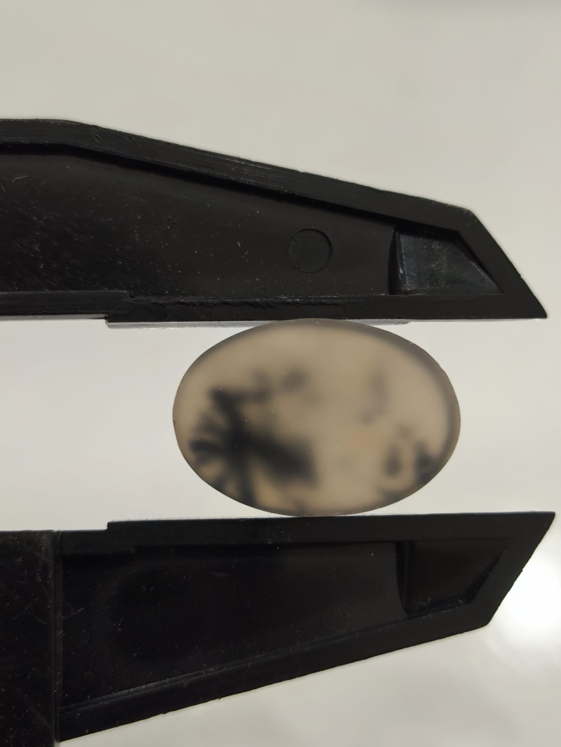 تصویر شجر طبیعی قائن کد 109 