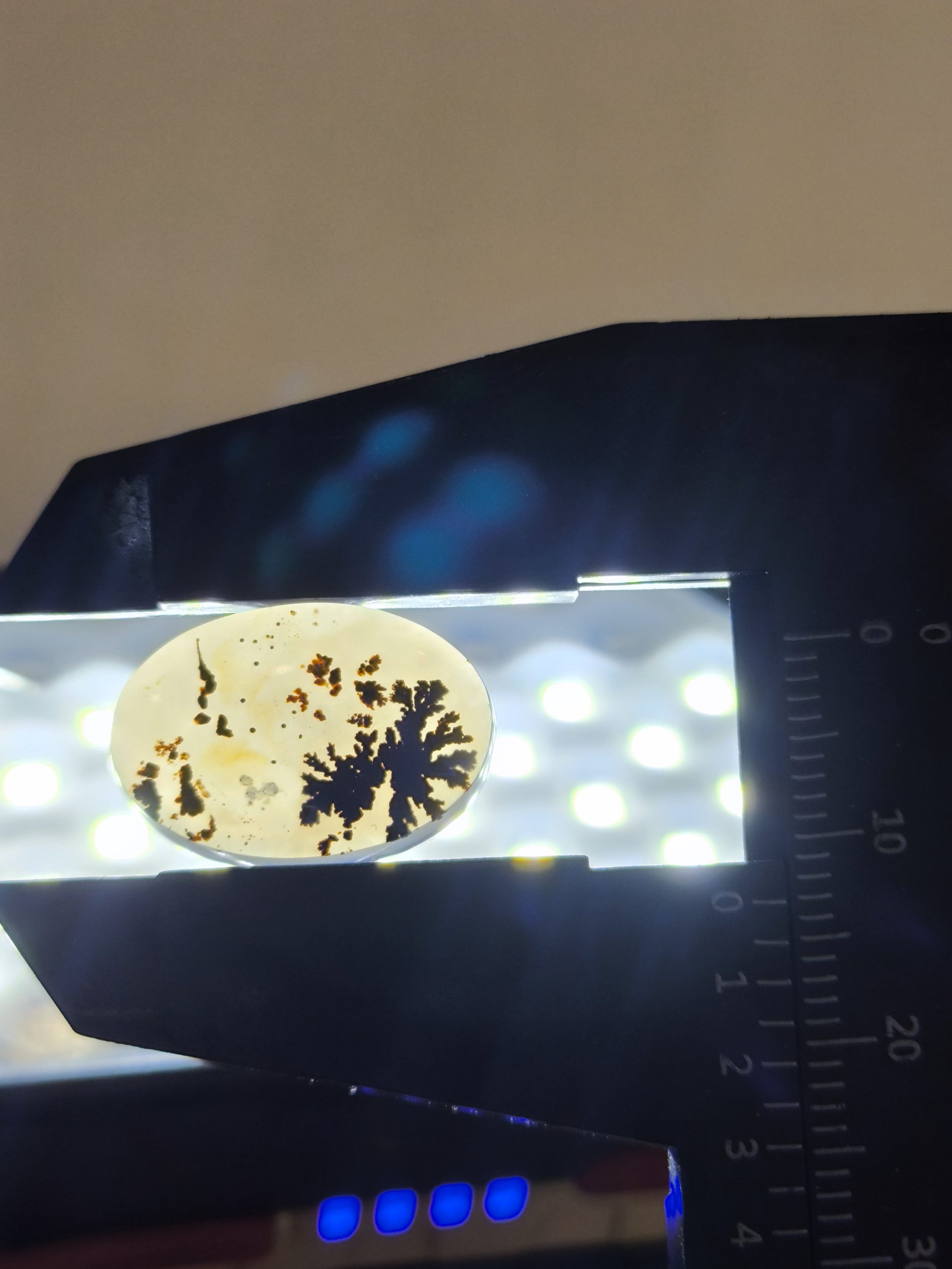 تصویر شجر طبیعی قائن کد 109 