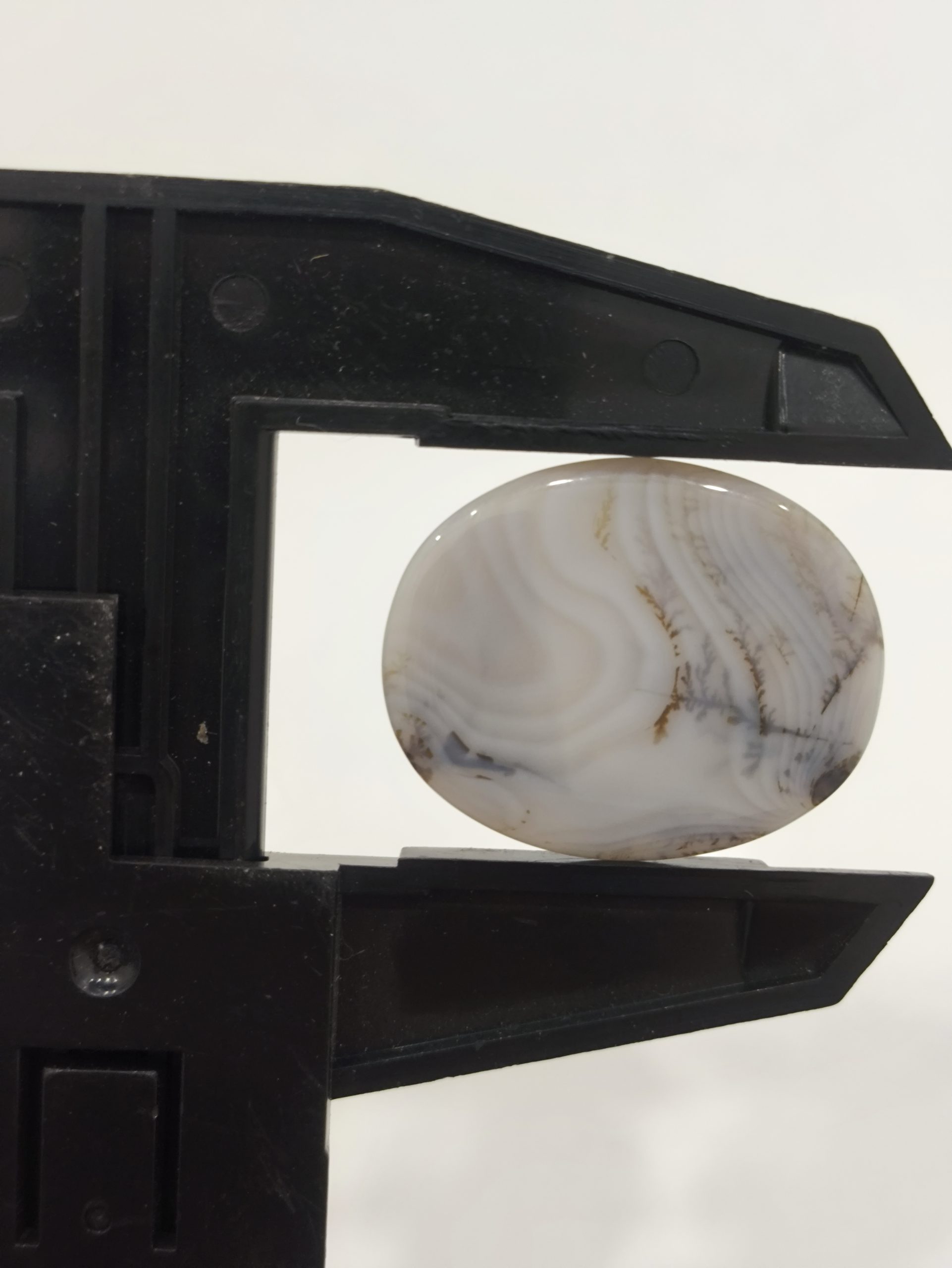 تصویر شجر طبیعی قائن کد 111 