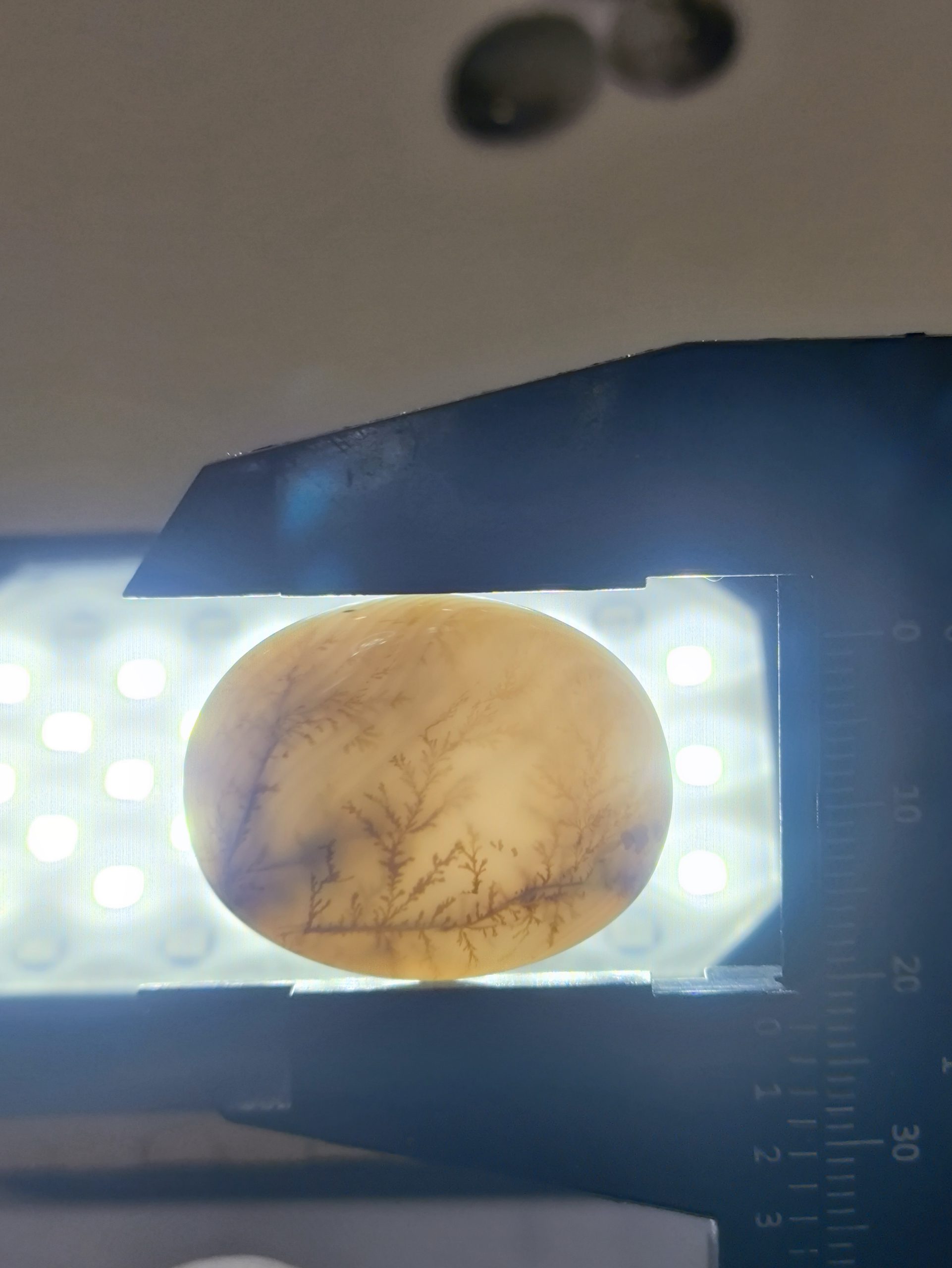 تصویر شجر طبیعی قائن کد 111 