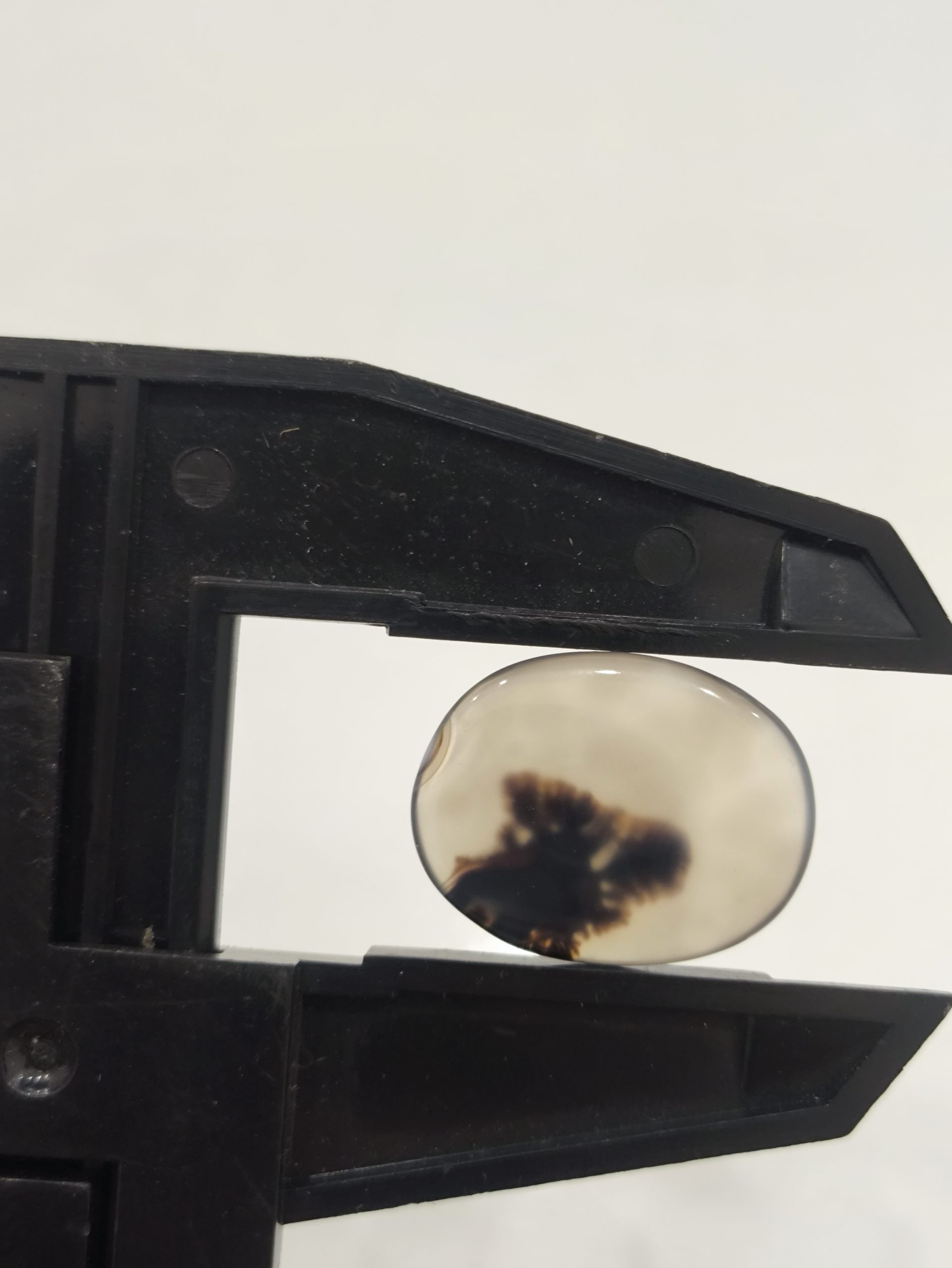 تصویر شجر طبیعی قائن کد 116 