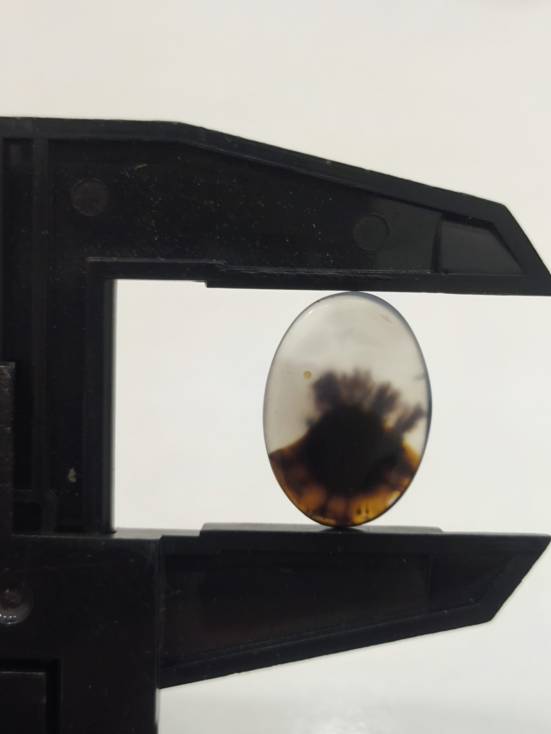 تصویر شجر طبیعی قائن کد 117 