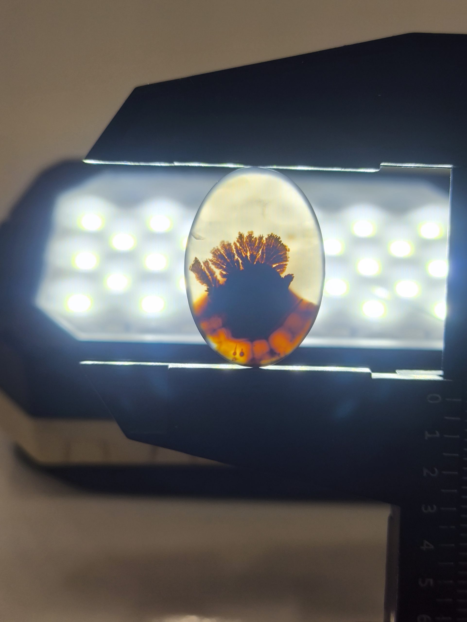 تصویر شجر طبیعی قائن کد 117 