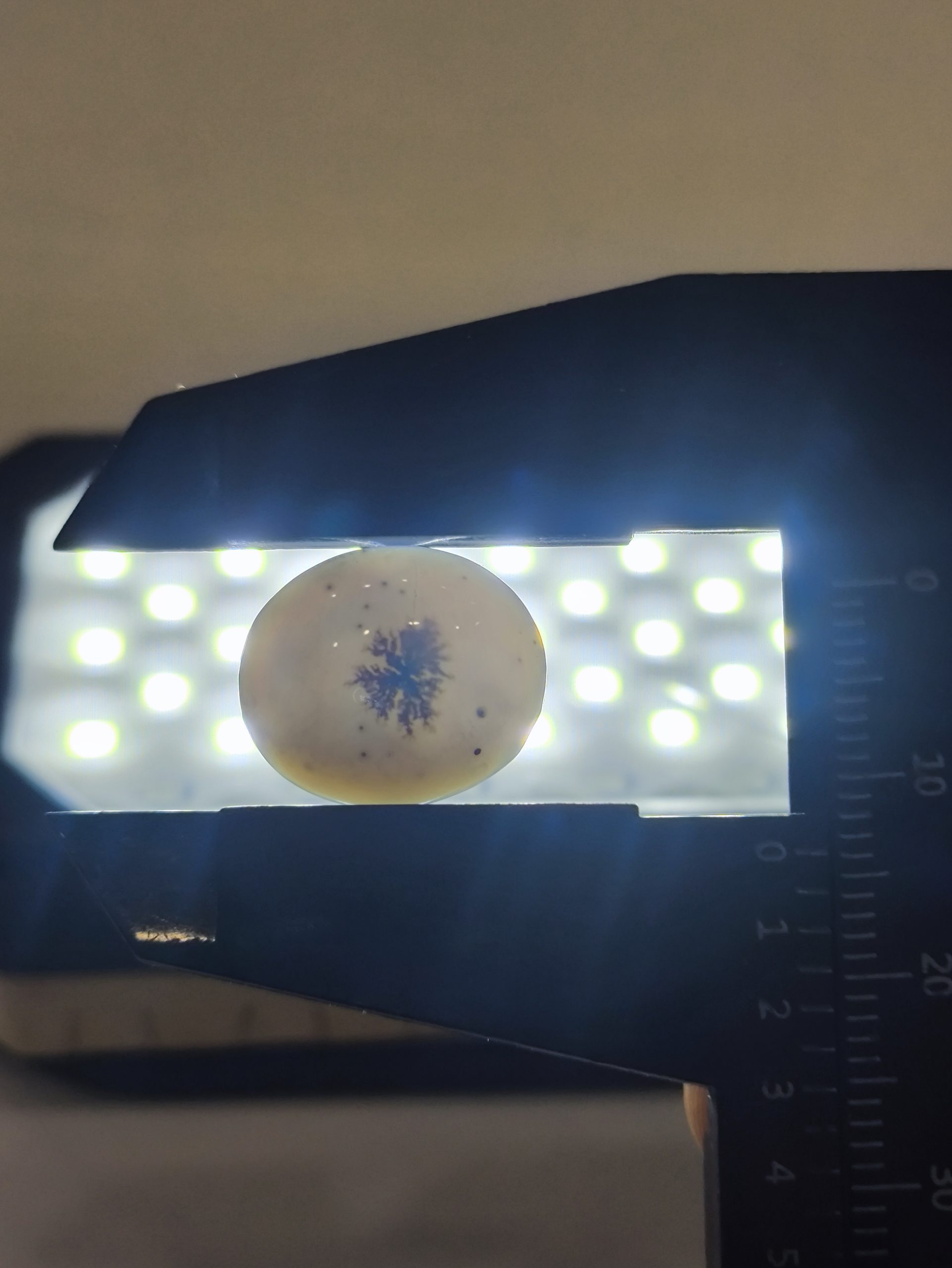 تصویر شجر طبیعی قائن کد 125 