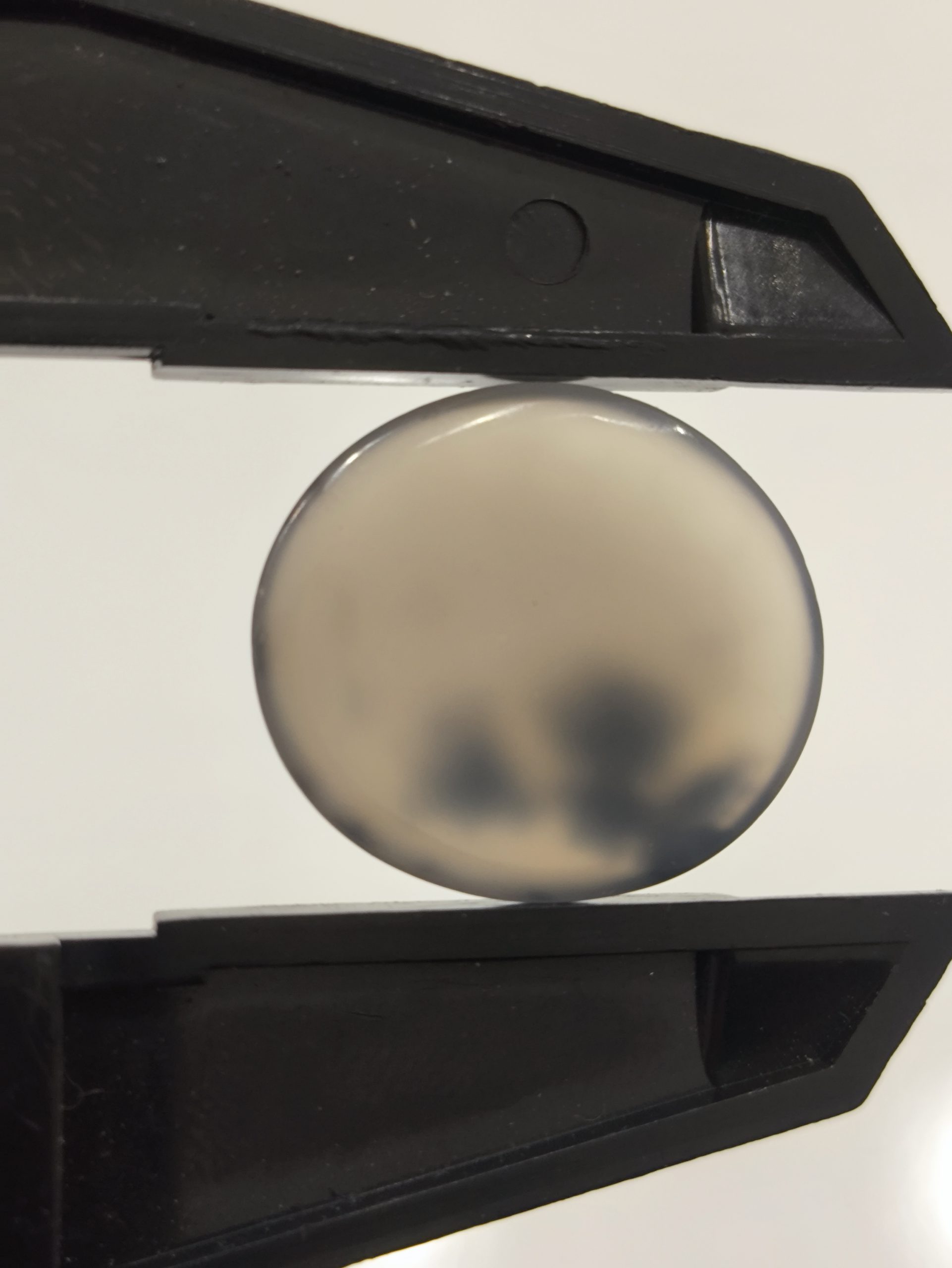 تصویر شجر طبیعی قائن کد 126 