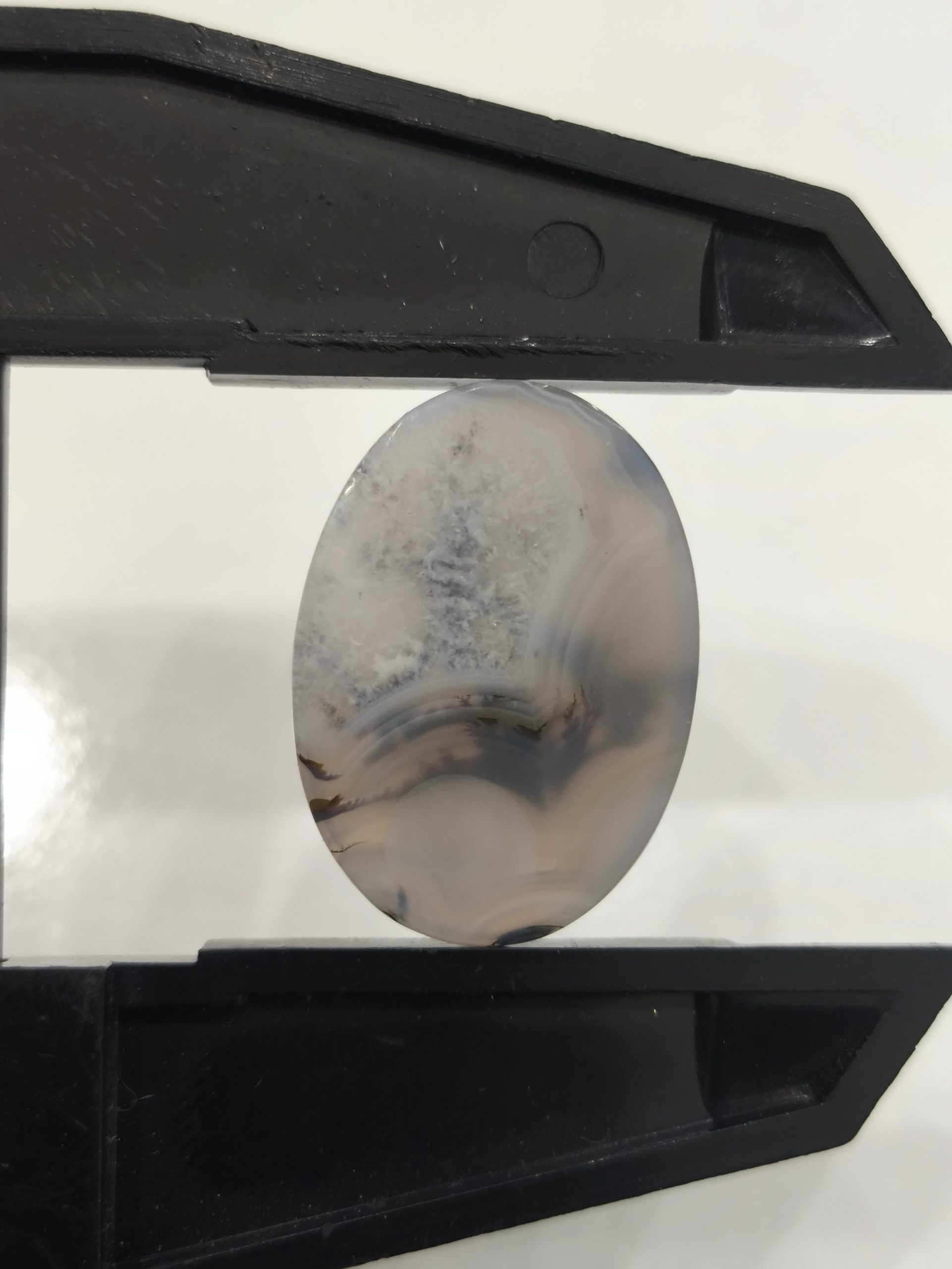 تصویر شجر طبیعی قائن کد 129 