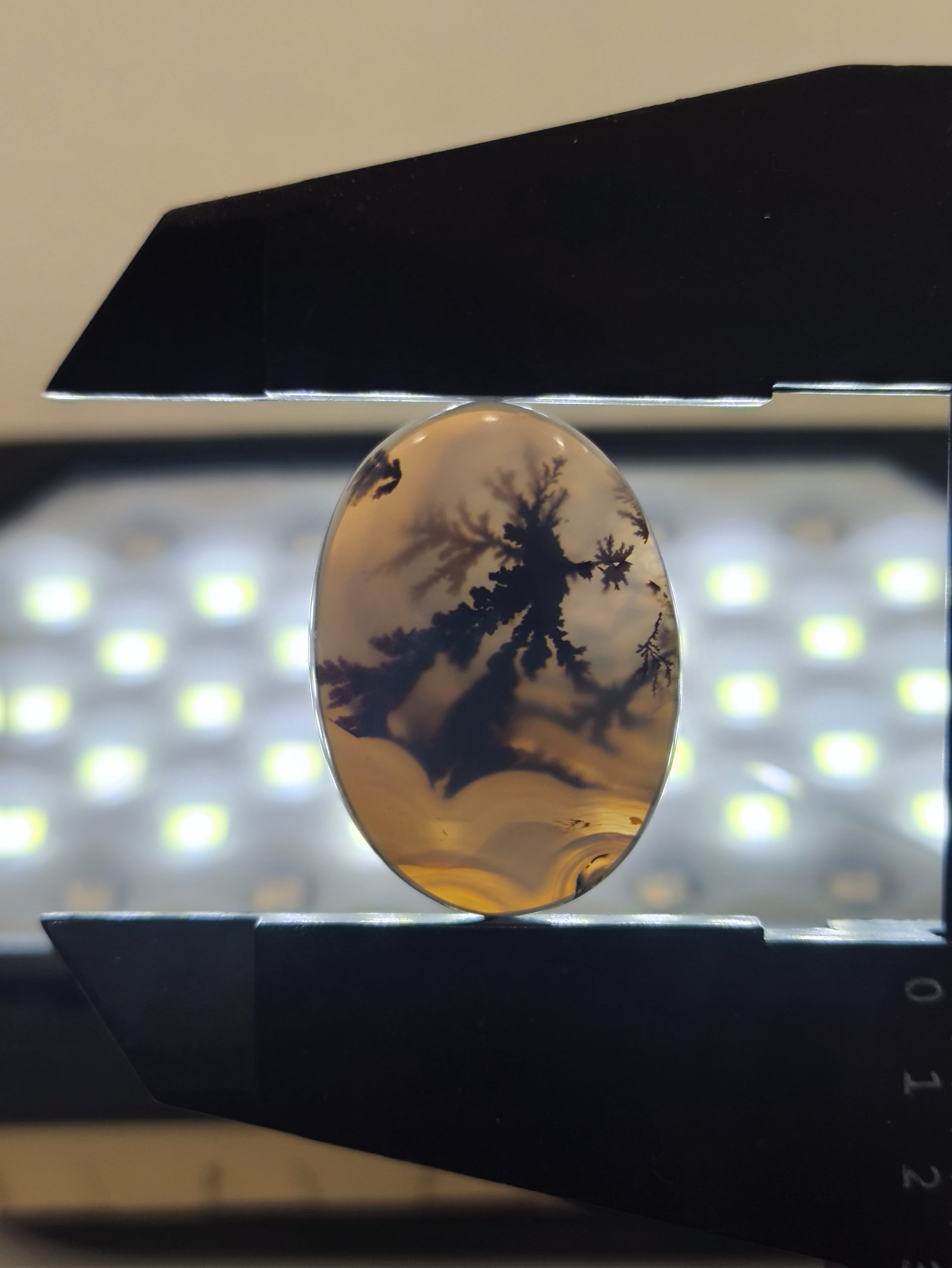 تصویر شجر طبیعی قائن کد 129 