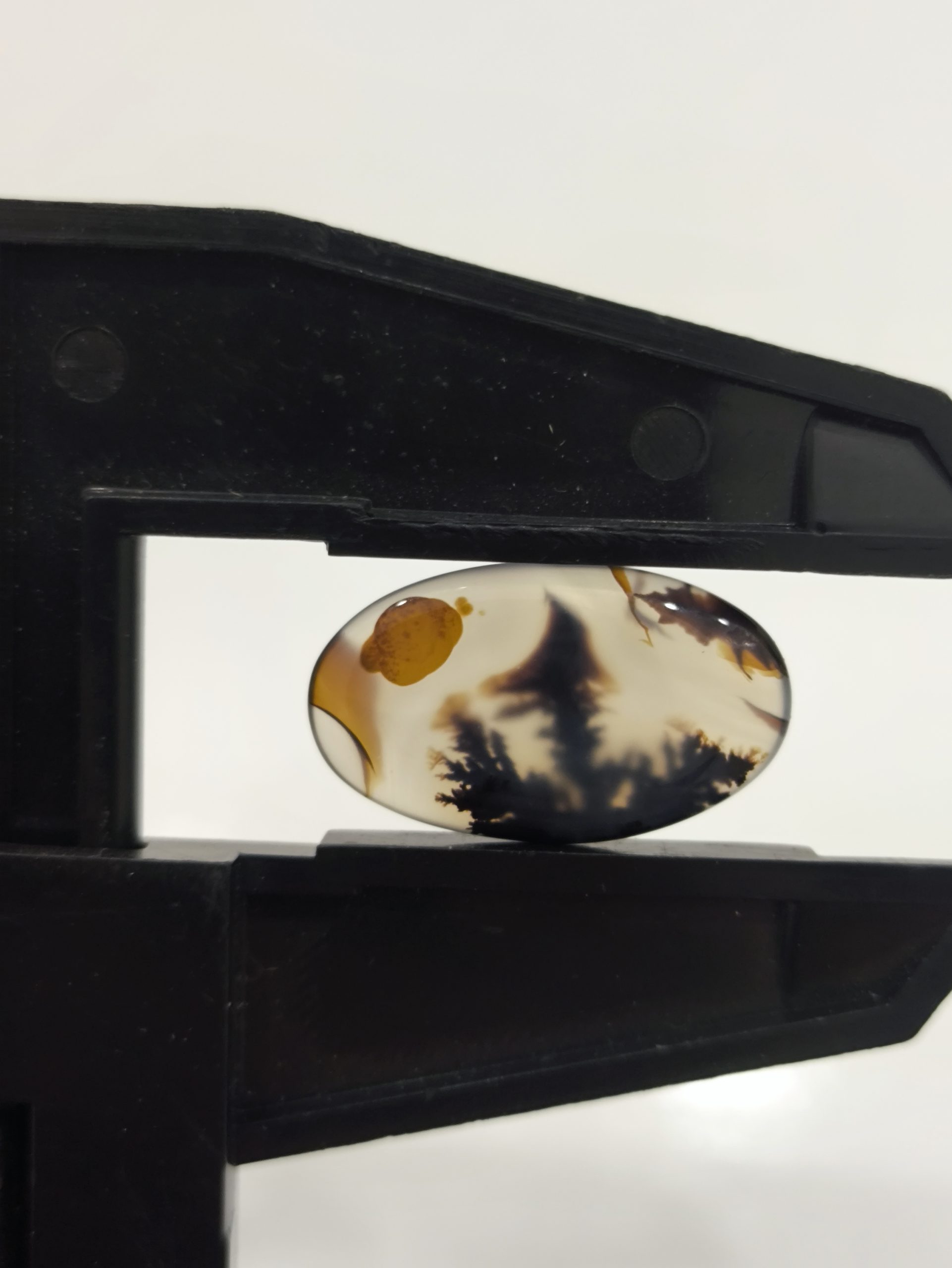 تصویر شجر طبیعی قائن کد 132 