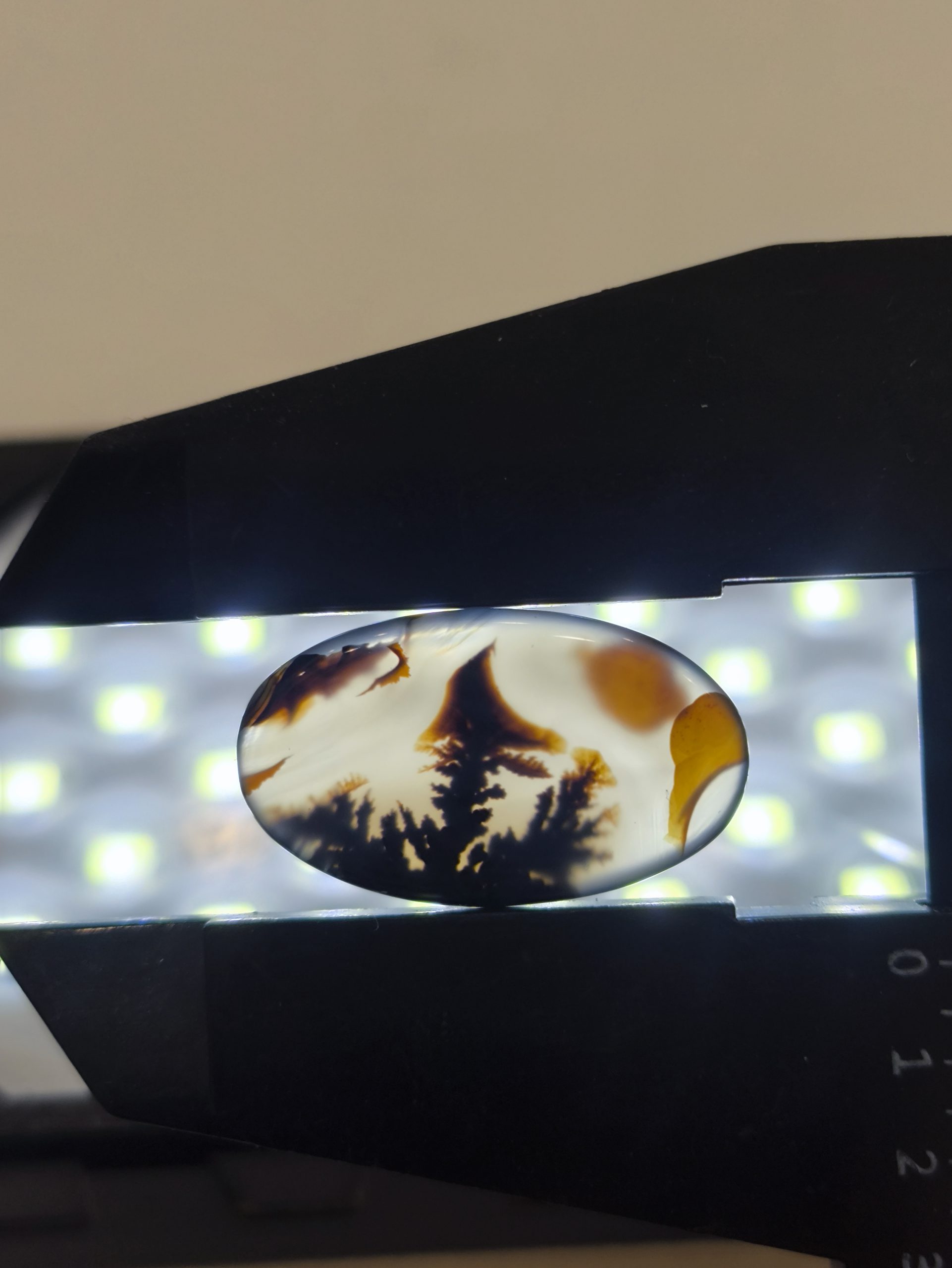 تصویر شجر طبیعی قائن کد 132 