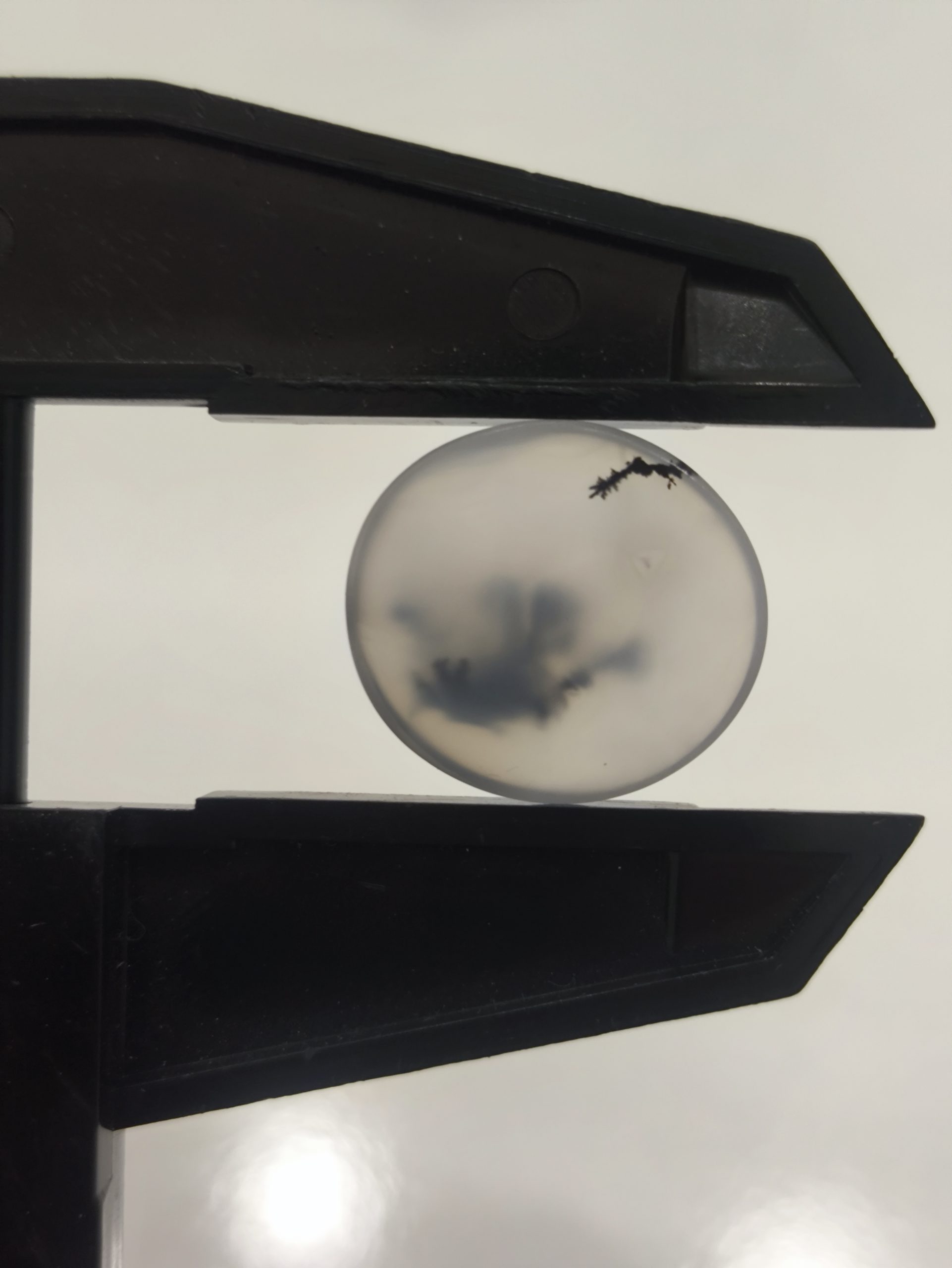 تصویر شجر طبیعی قائن کد 139 