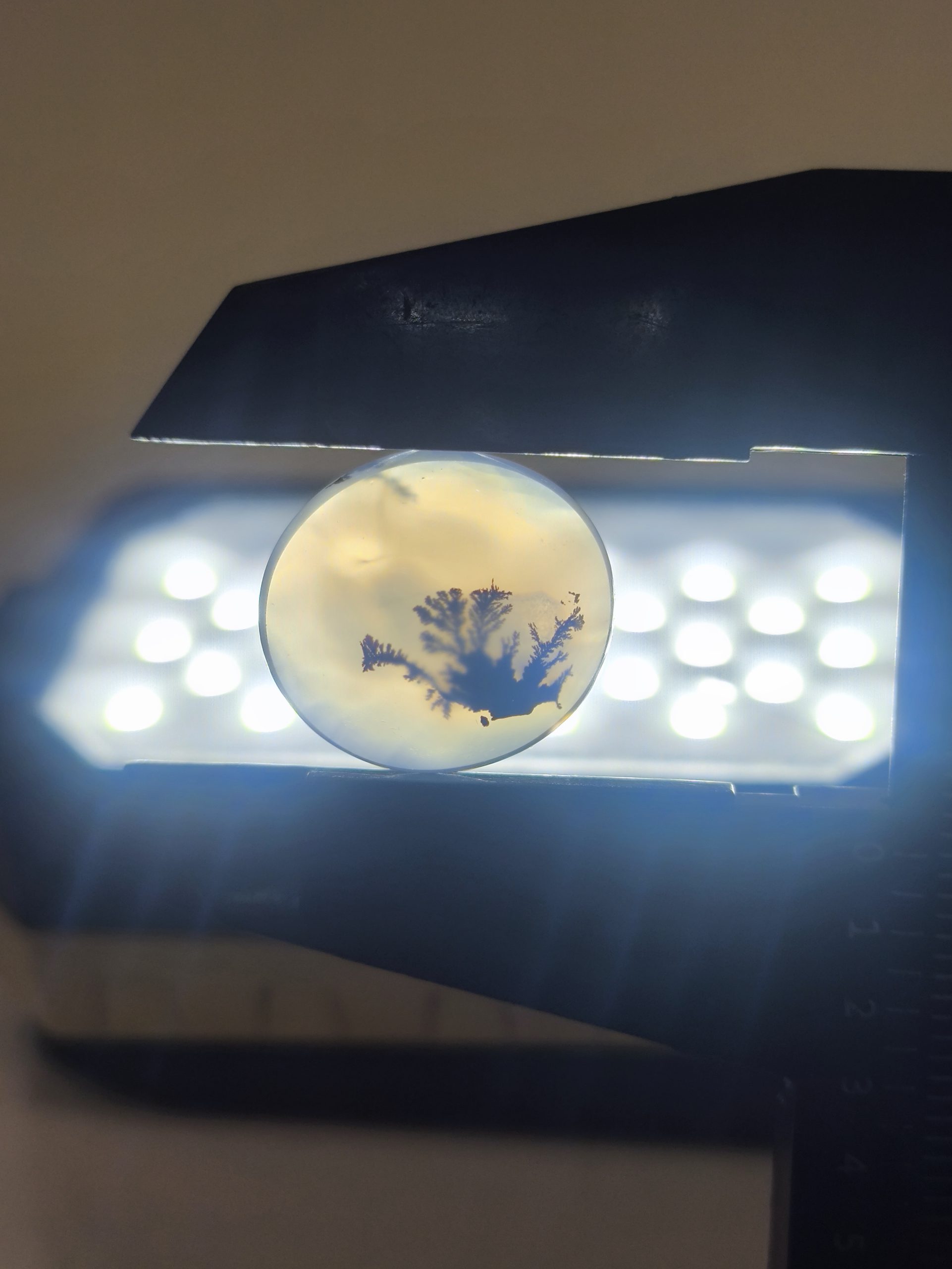 تصویر شجر طبیعی قائن کد 139 