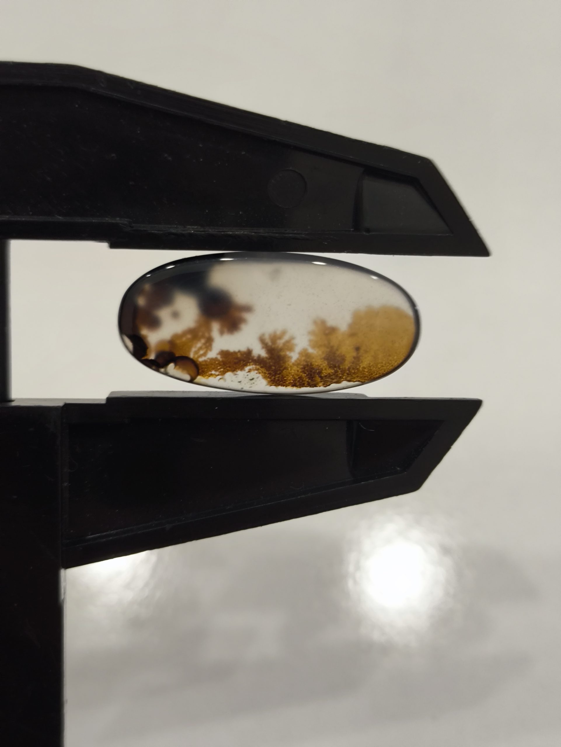 تصویر شجر طبیعی قائن کد 145 