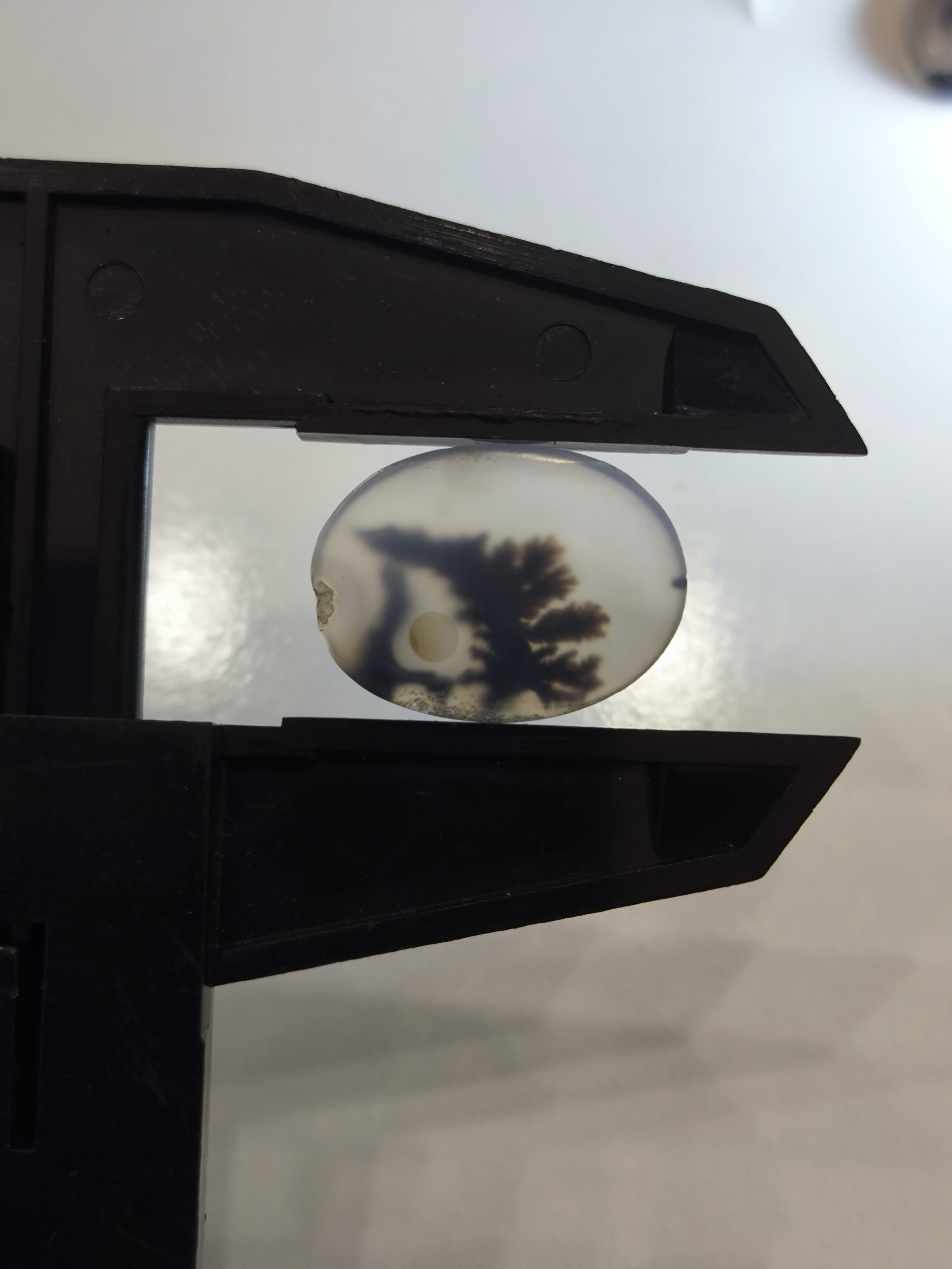 تصویر شجر طبیعی قائن کد 100 