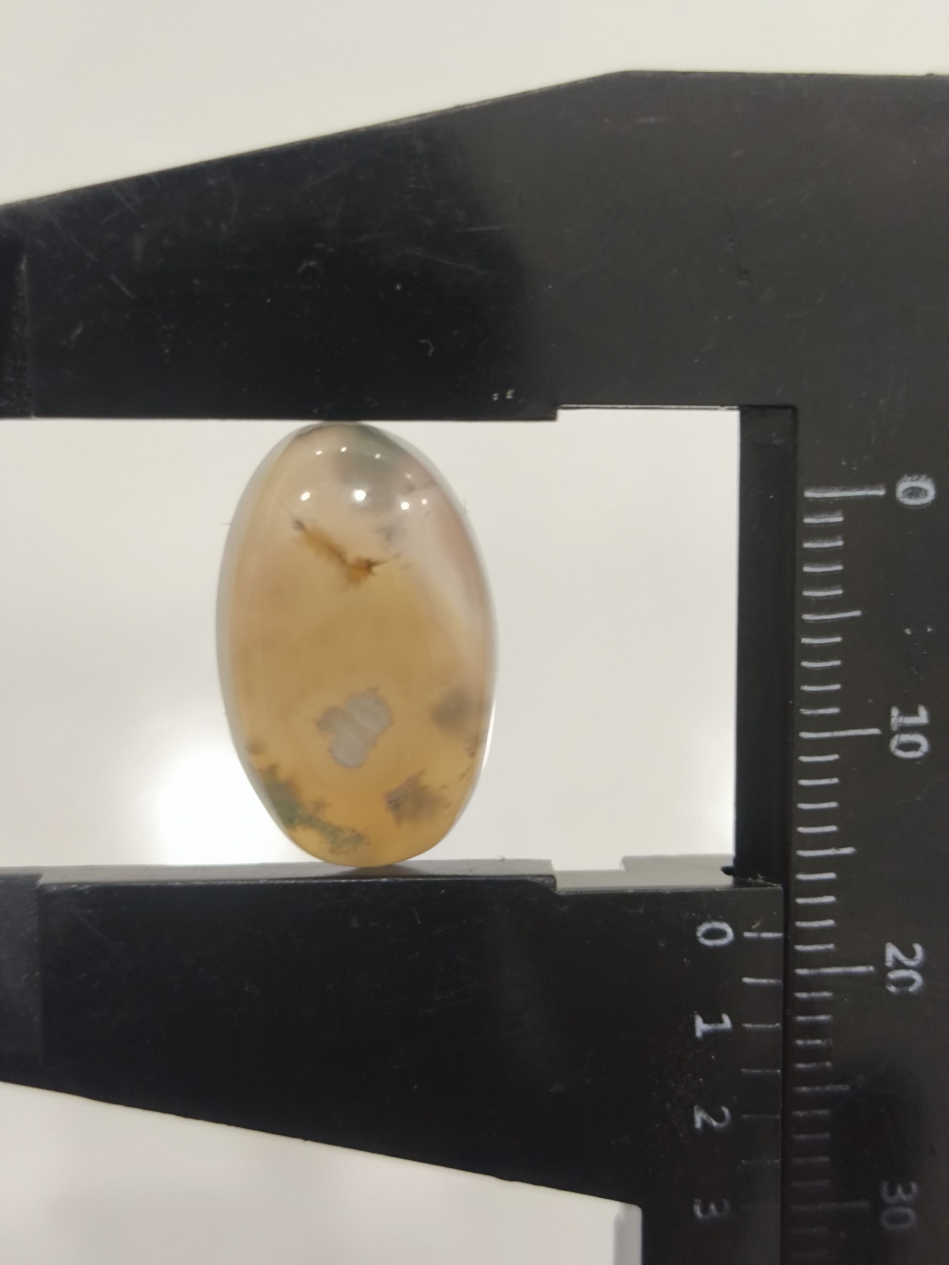 تصویر شجر پاییزی کد 322 