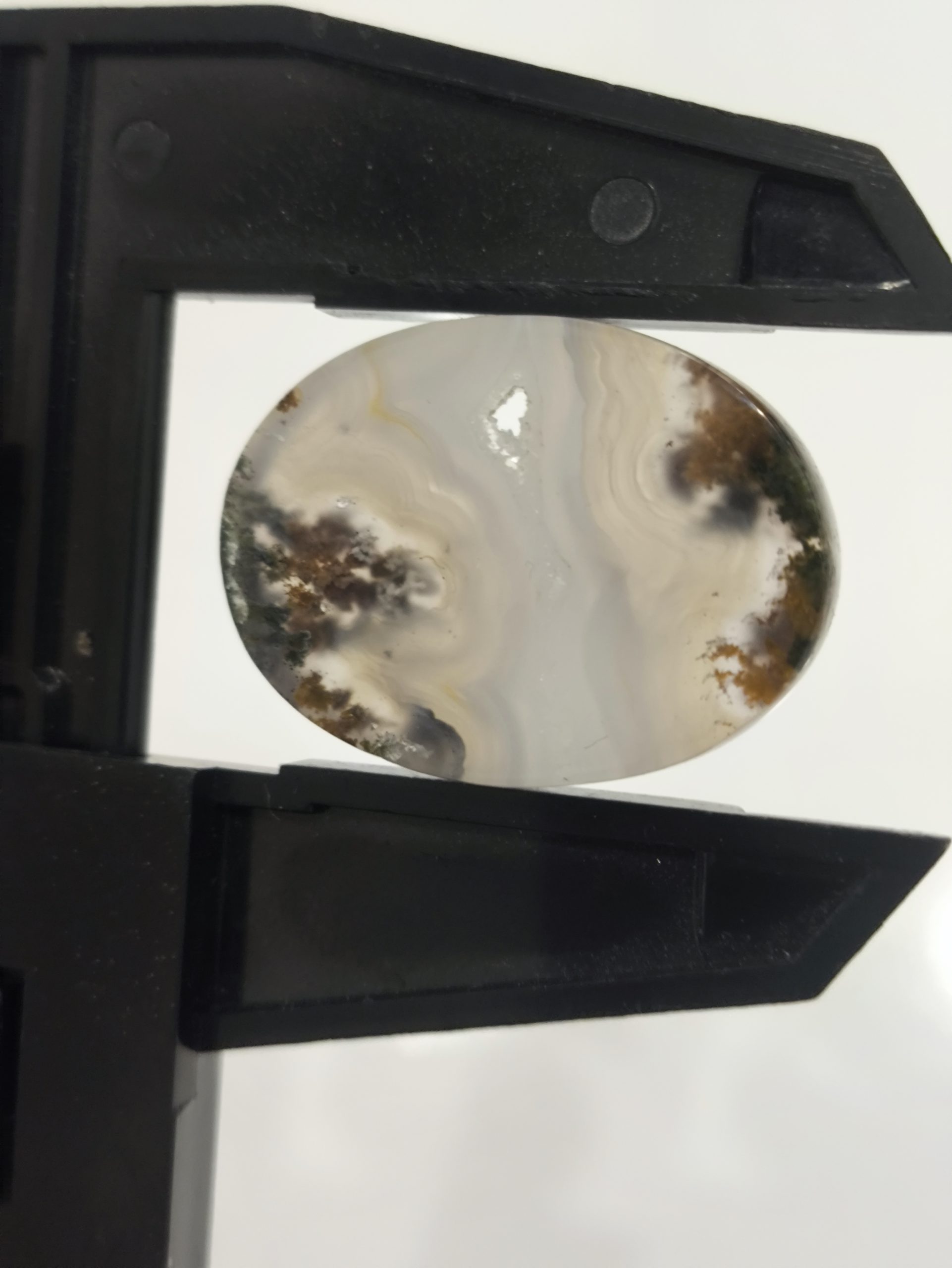 تصویر شجر پاییزی کد 325 