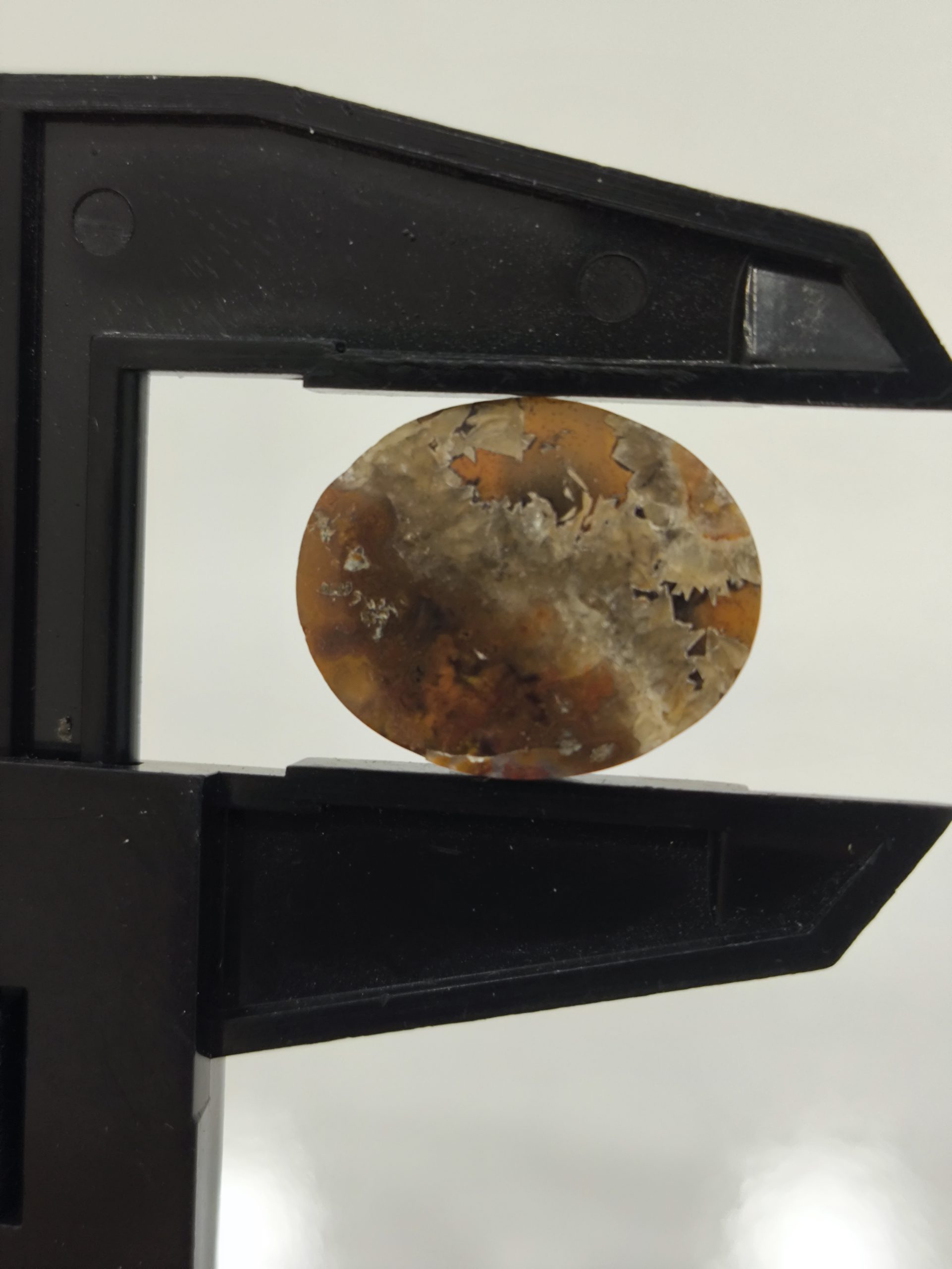 تصویر شجر پاییزی کد 327 