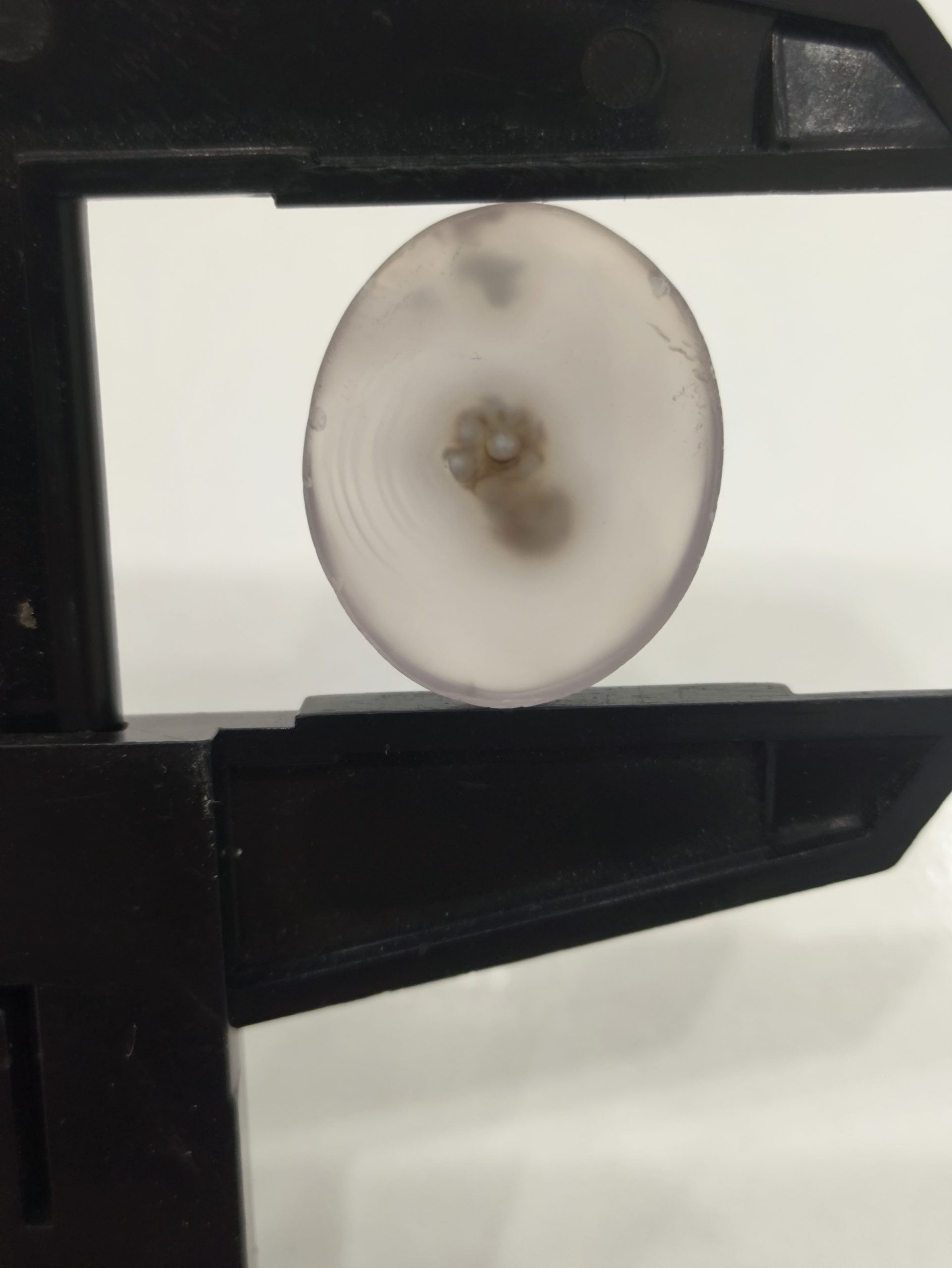 تصویر شجر بهاری کد 900 