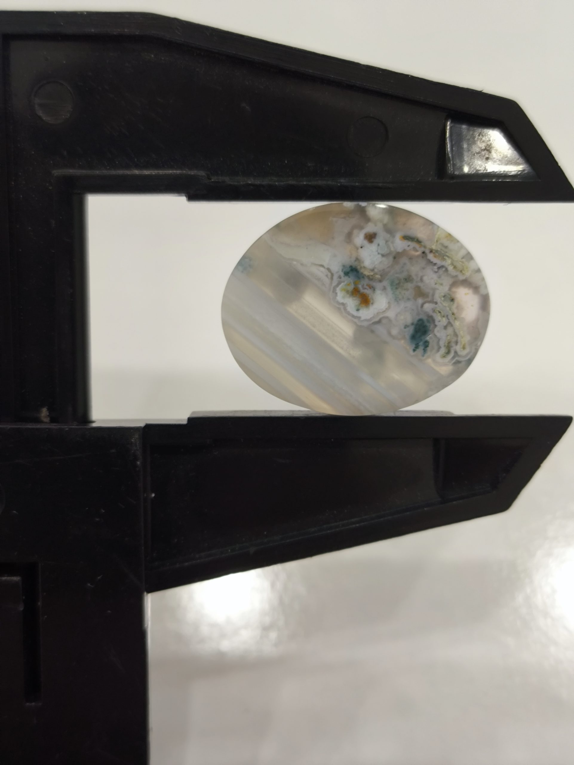 تصویر شجر بهاری کد 901 