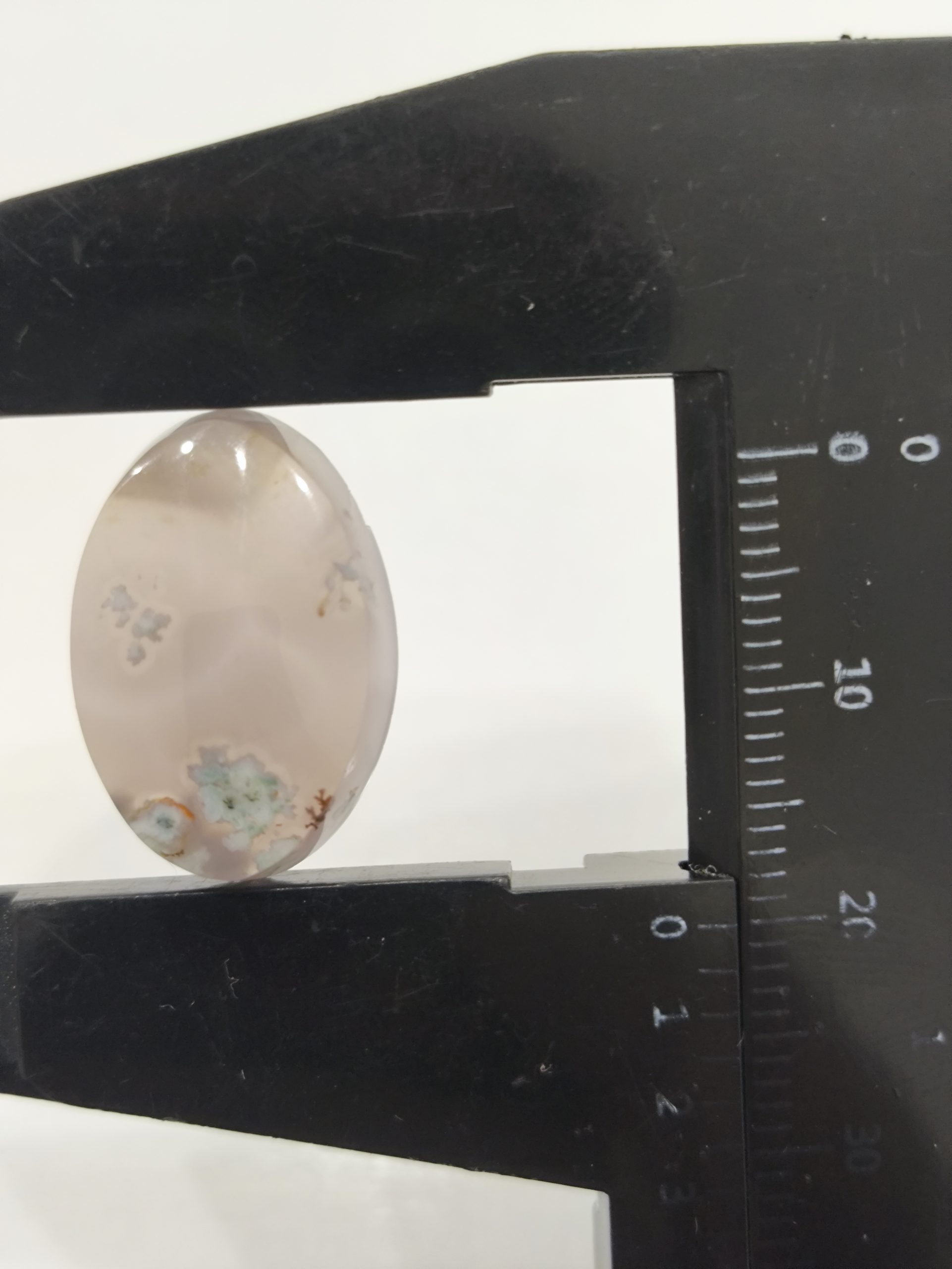 تصویر شجر بهاری کد 903 