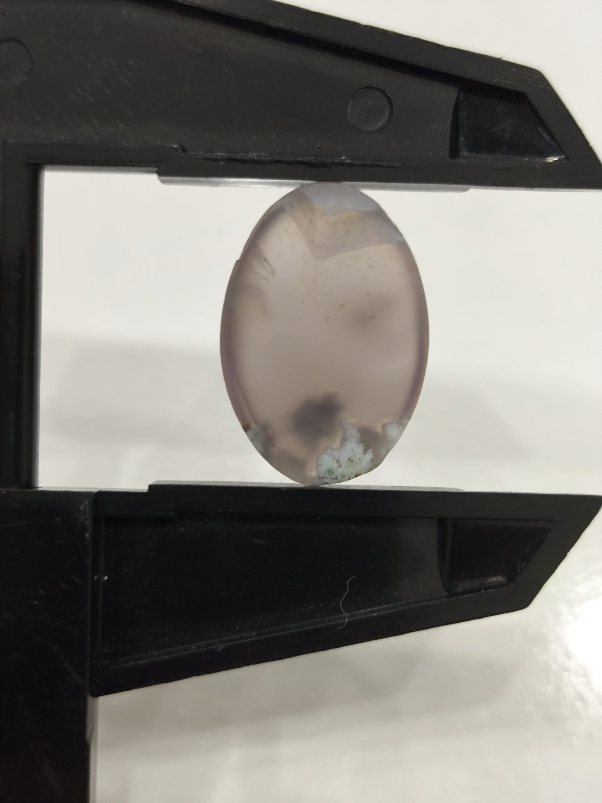 تصویر شجر بهاری کد 903 