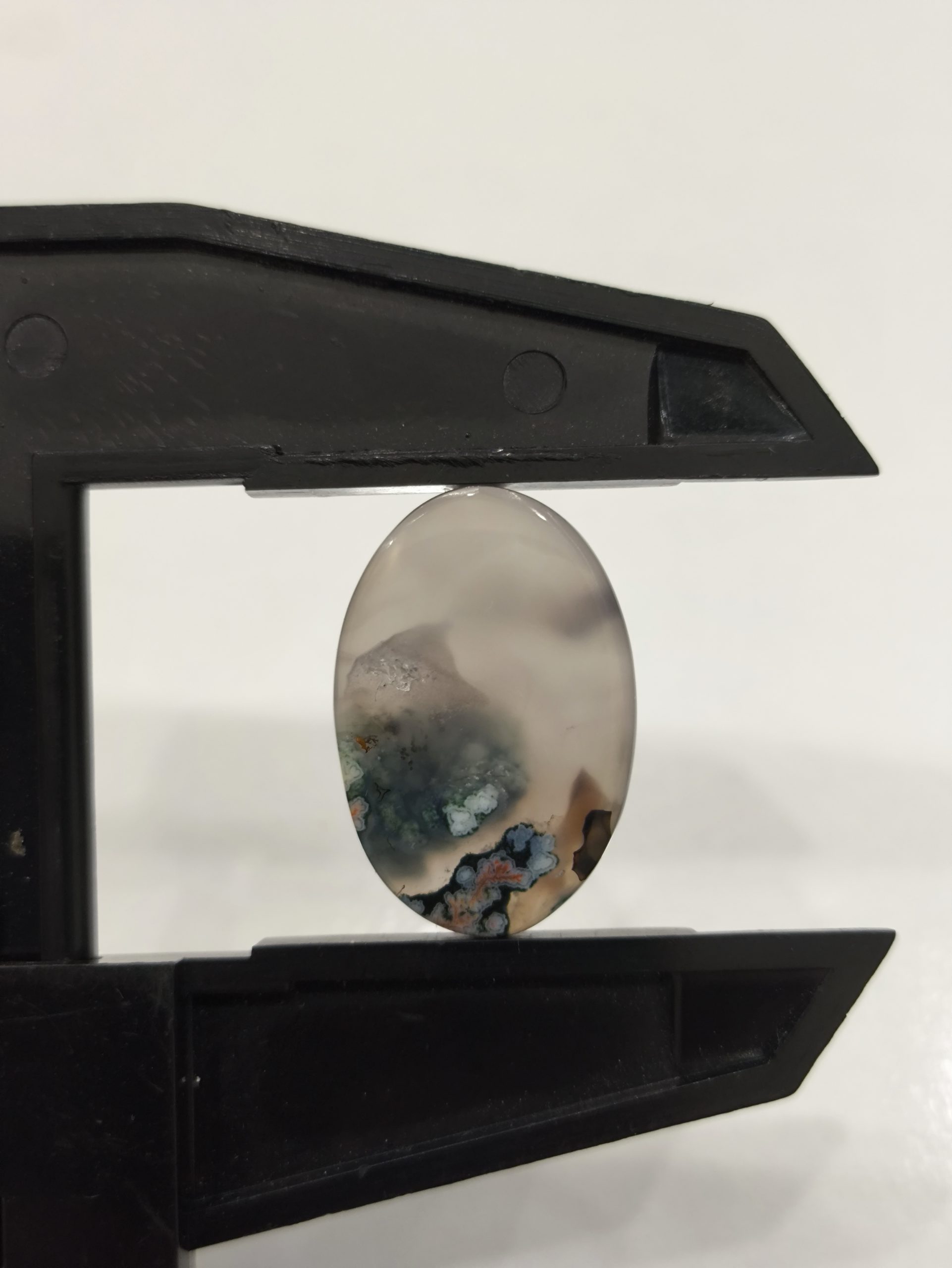 تصویر شجر بهاری کد904 