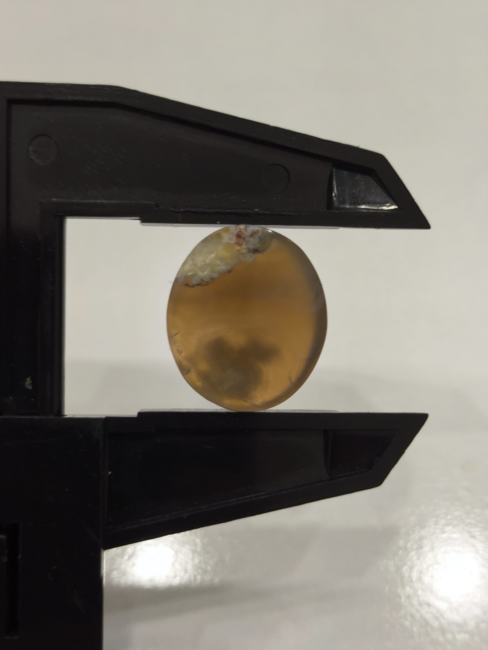 تصویر شجر بهاری کد905 