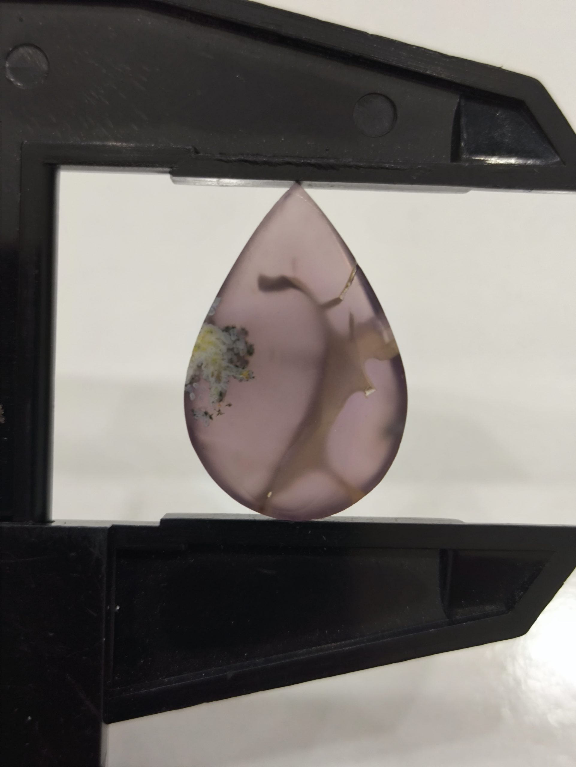 تصویر شجر بهاری کد907 