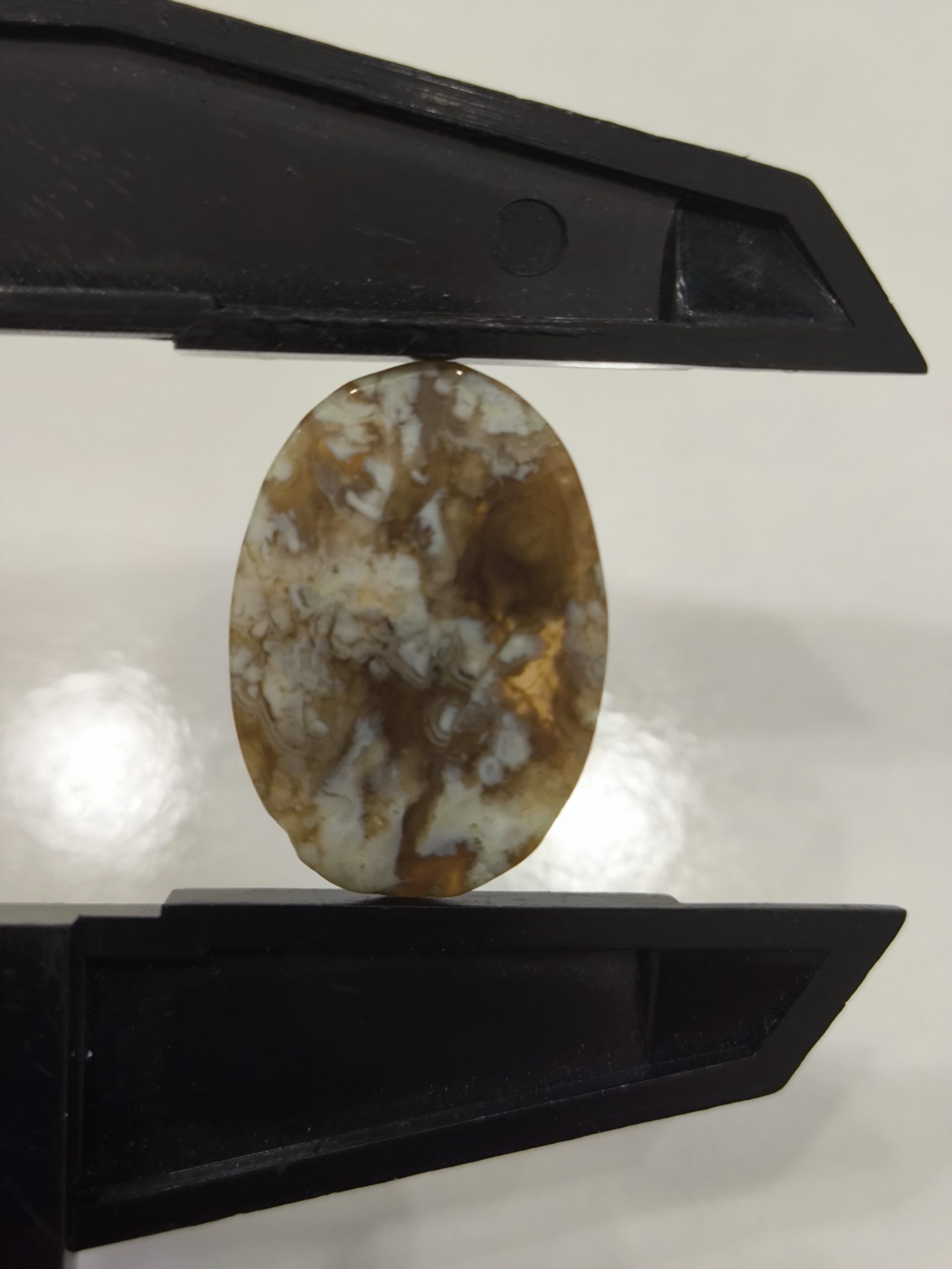 تصویر شجر بهار ی کد909 