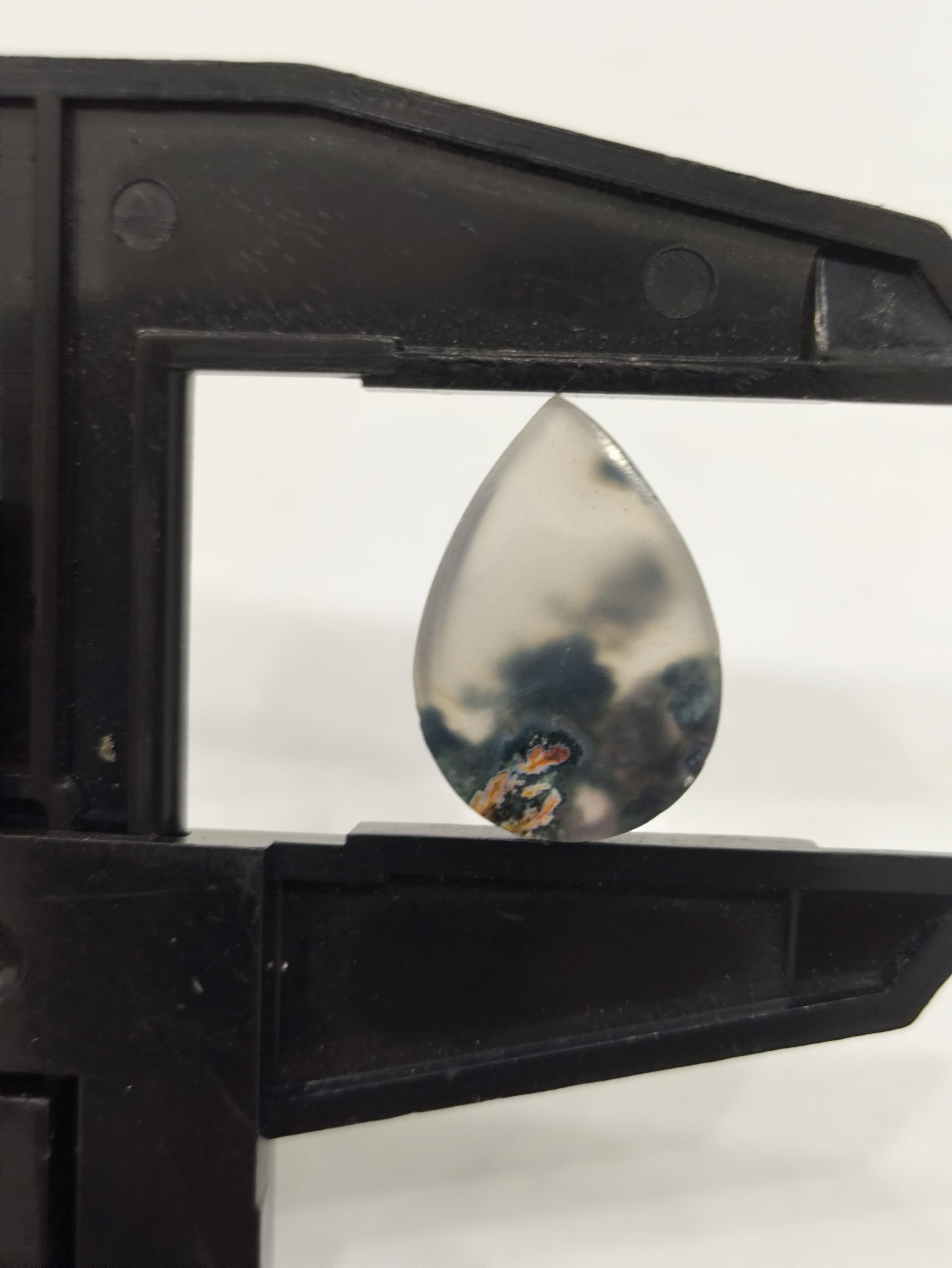 تصویر شجر بهاری کد915 