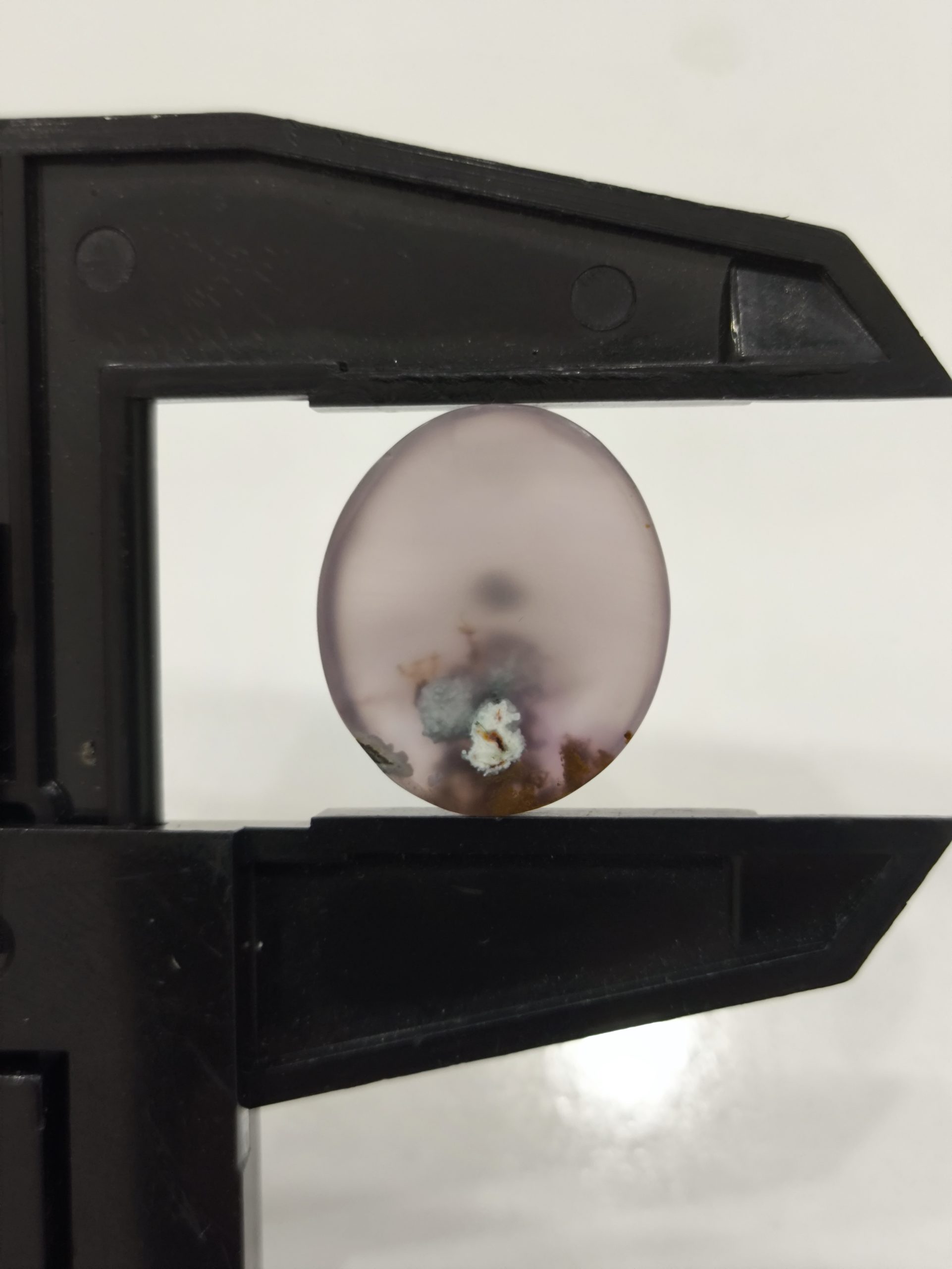 تصویر شجر بهار ی کد 916 