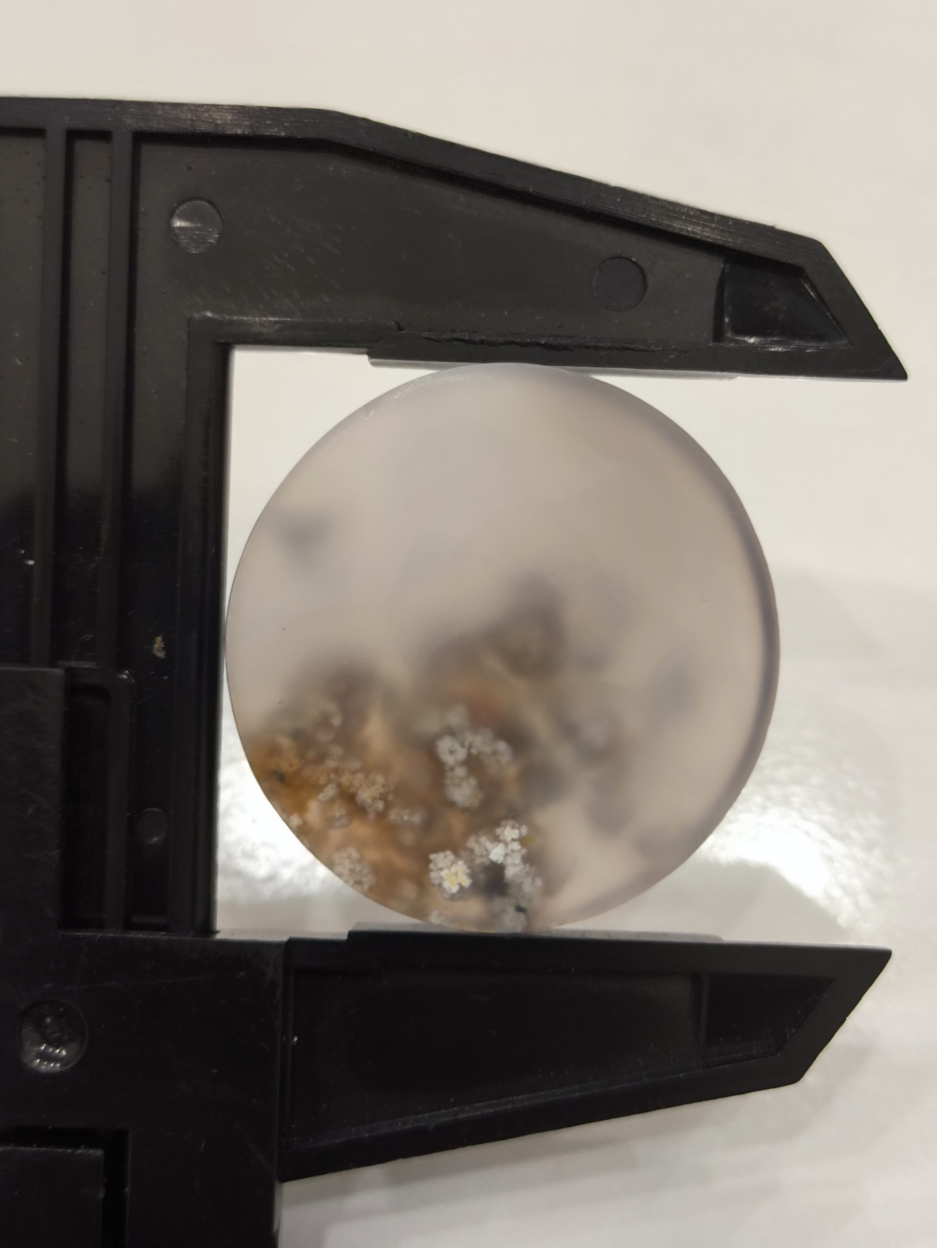 تصویر شجر بهار ی کد 921 