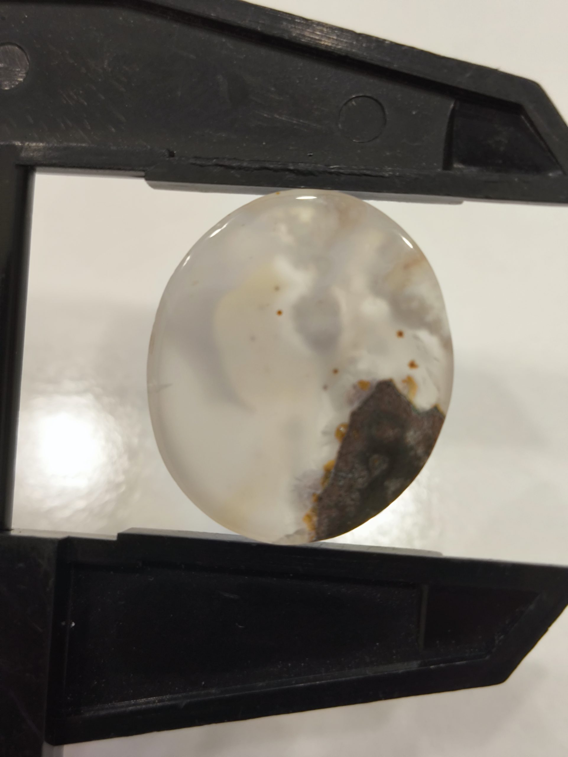 تصویر شجر بهار ی کد 922 