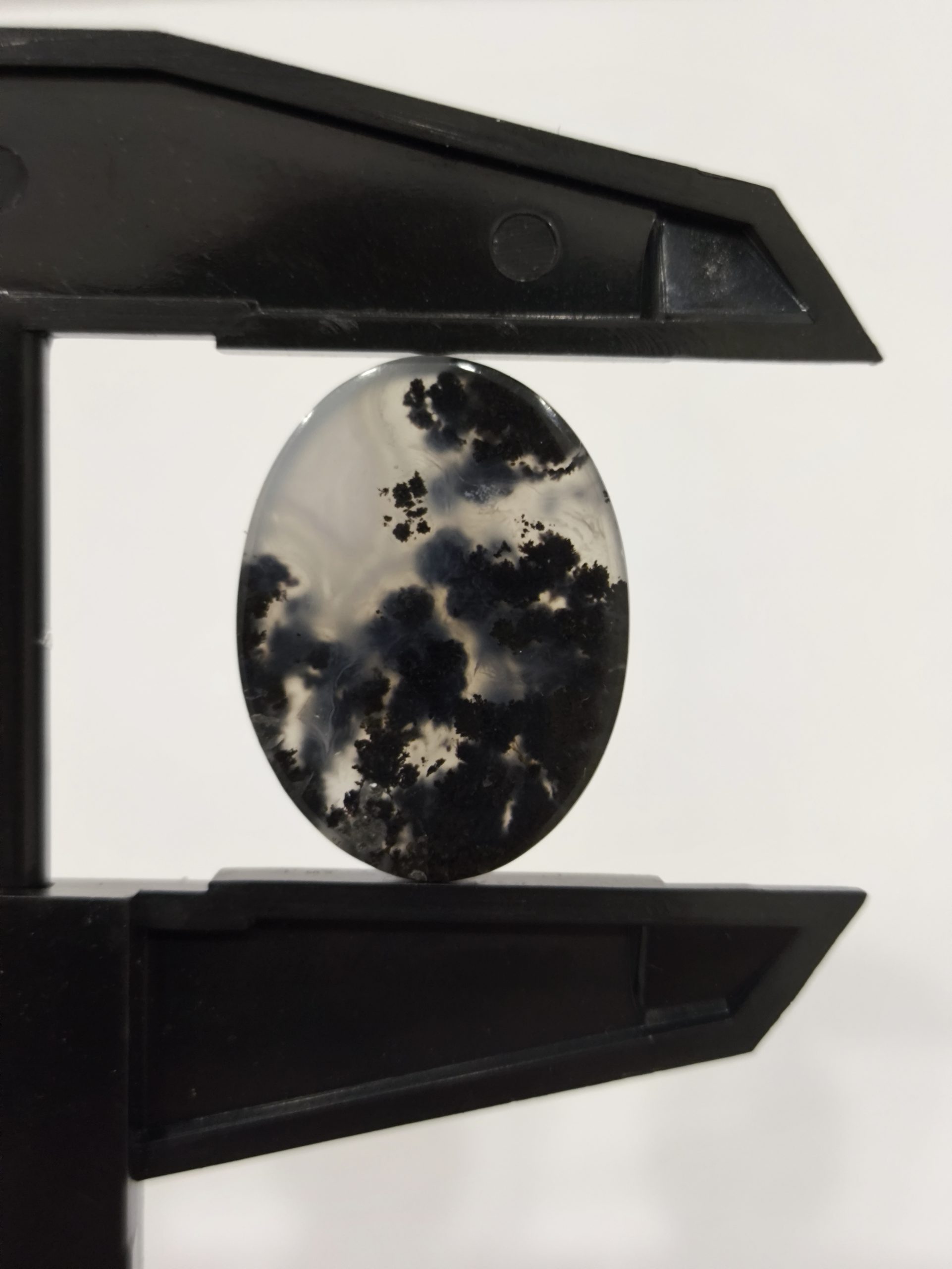 تصویر شجر بهاری مشکی کد926 