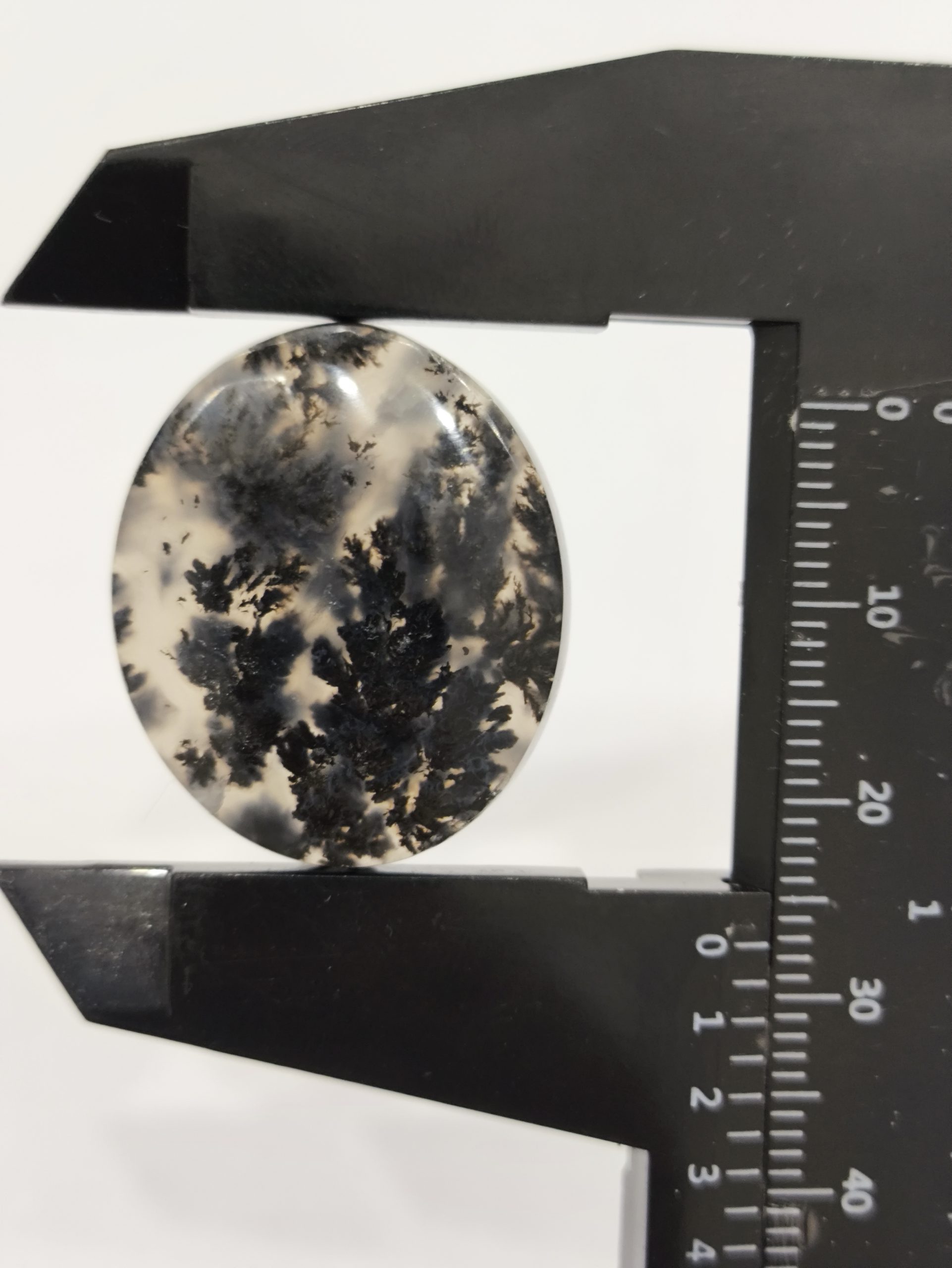 تصویر شجر بهاری مشکی کد928 