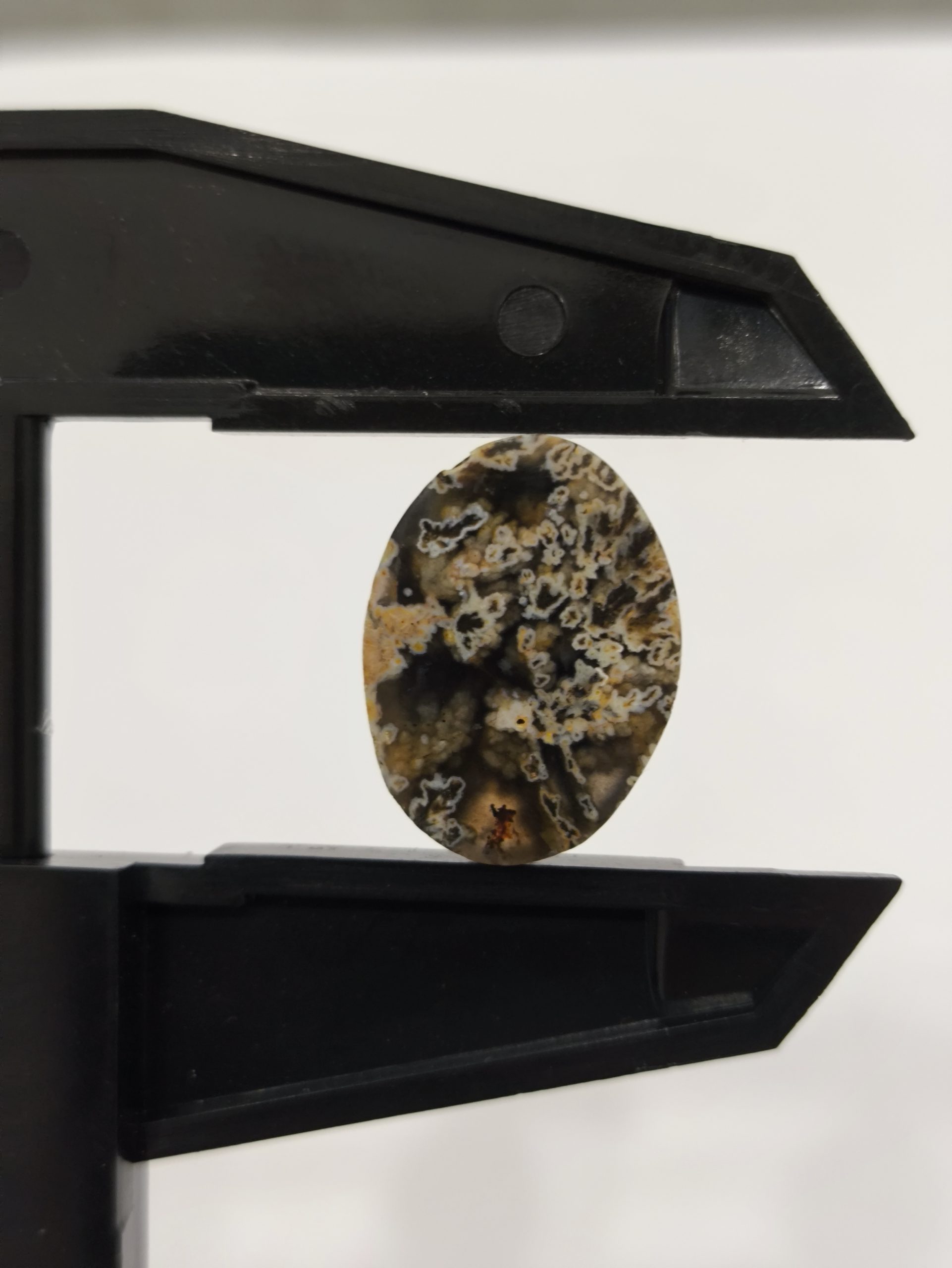 تصویر شجر بهاری مشکی کد930 