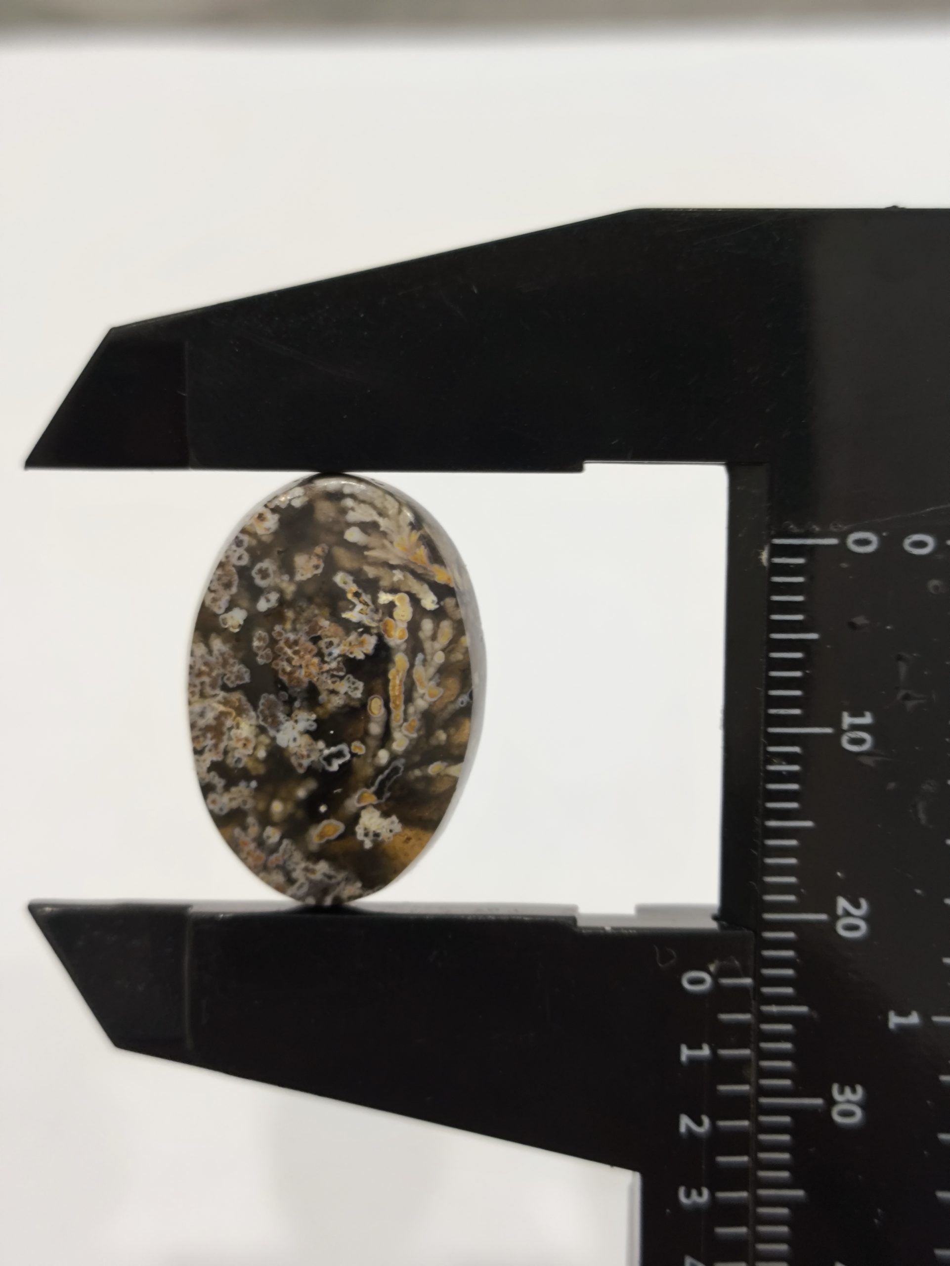 تصویر شجر بهاری مشکی کد931 