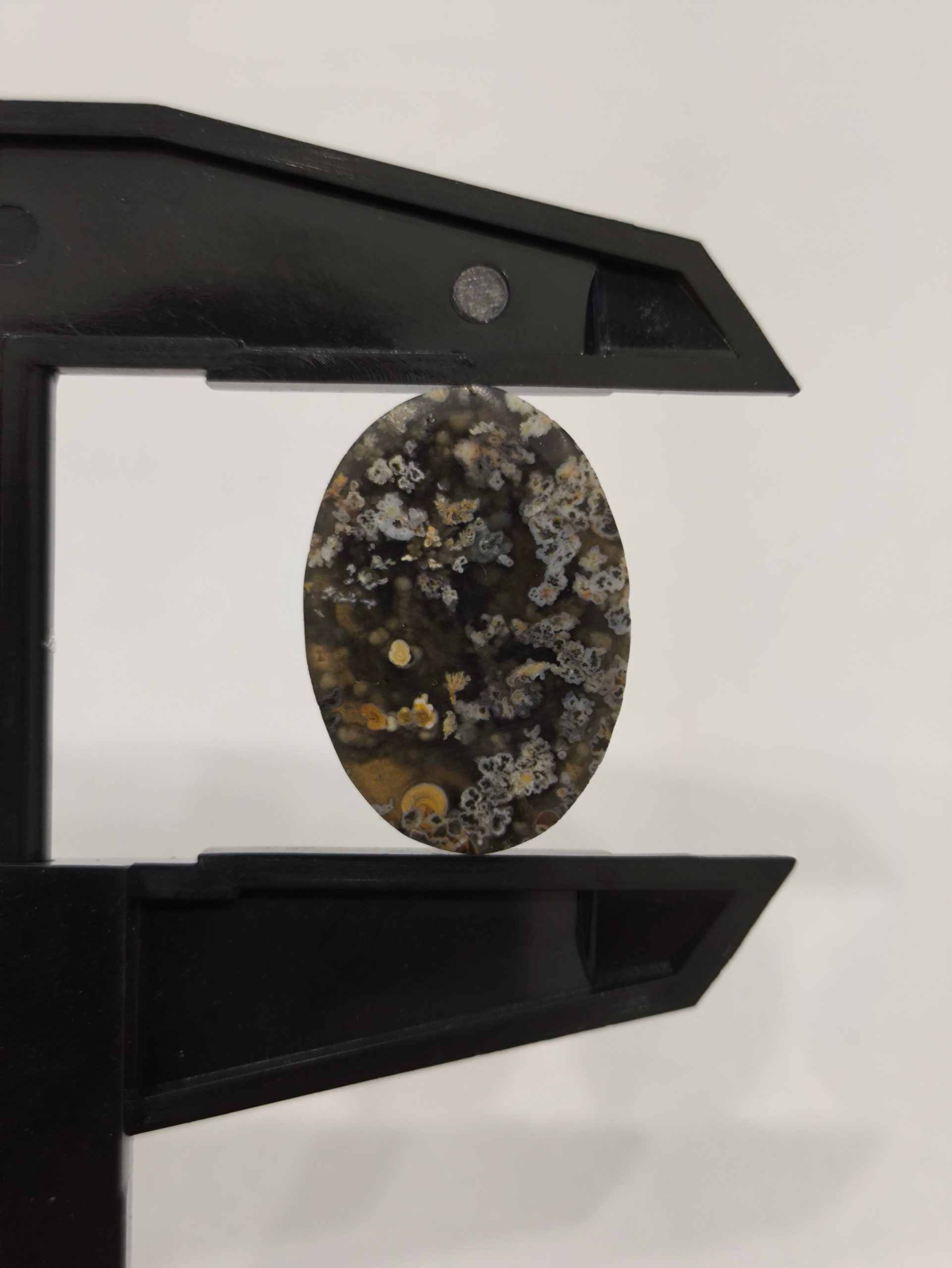 تصویر شجر بهاری مشکی کد931 