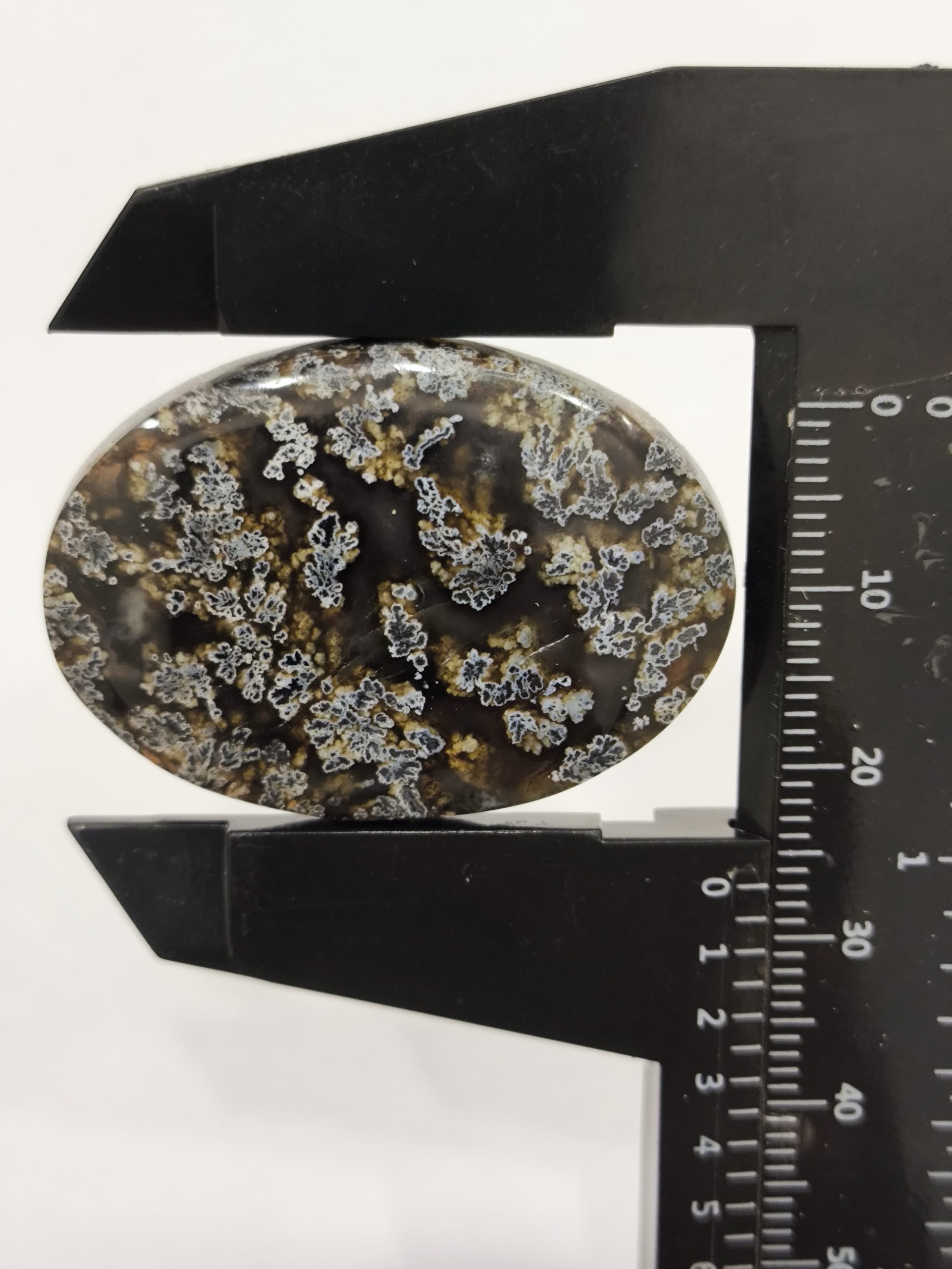 تصویر شجر بهاری مشکی کد 933 