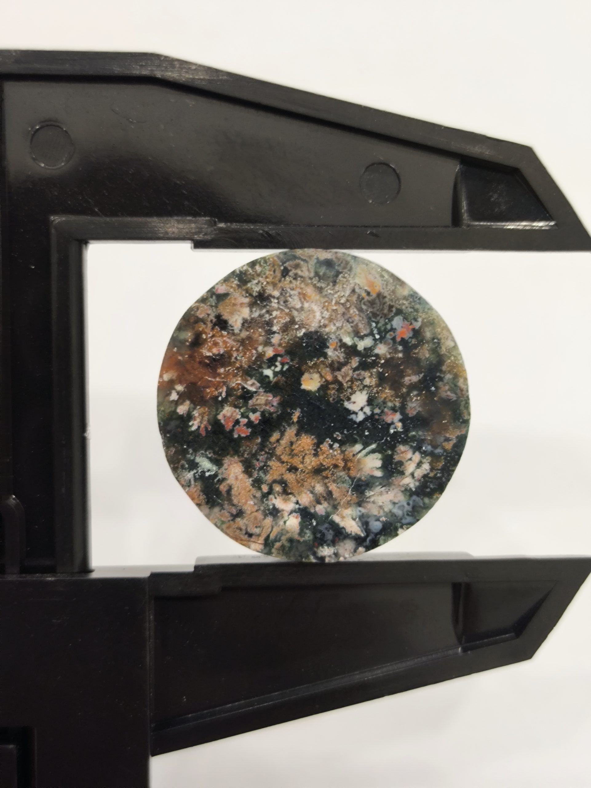 تصویر شجر بهاری مشکی کد 938 