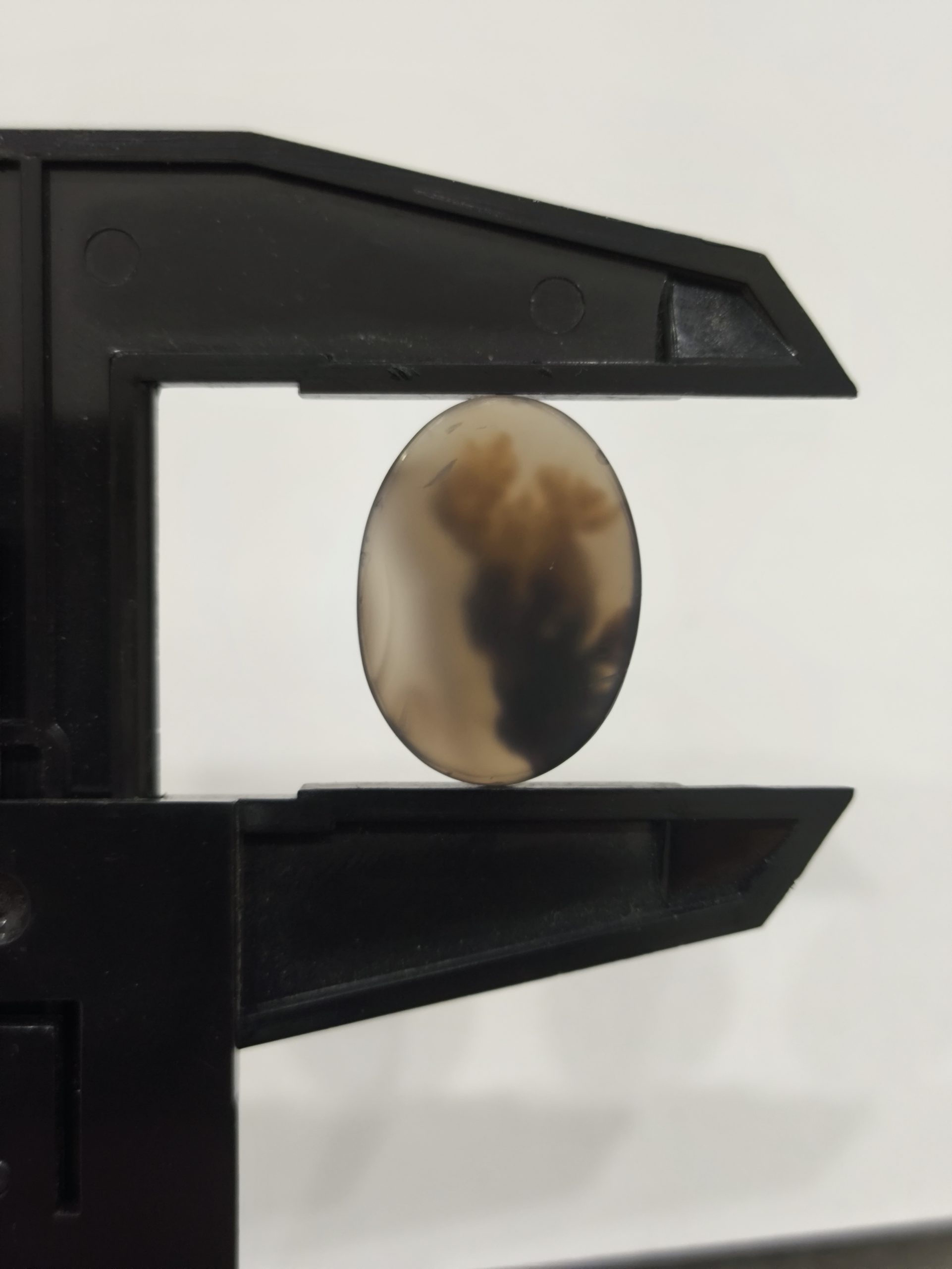 تصویر شجر طبیعی قائن کد 213 