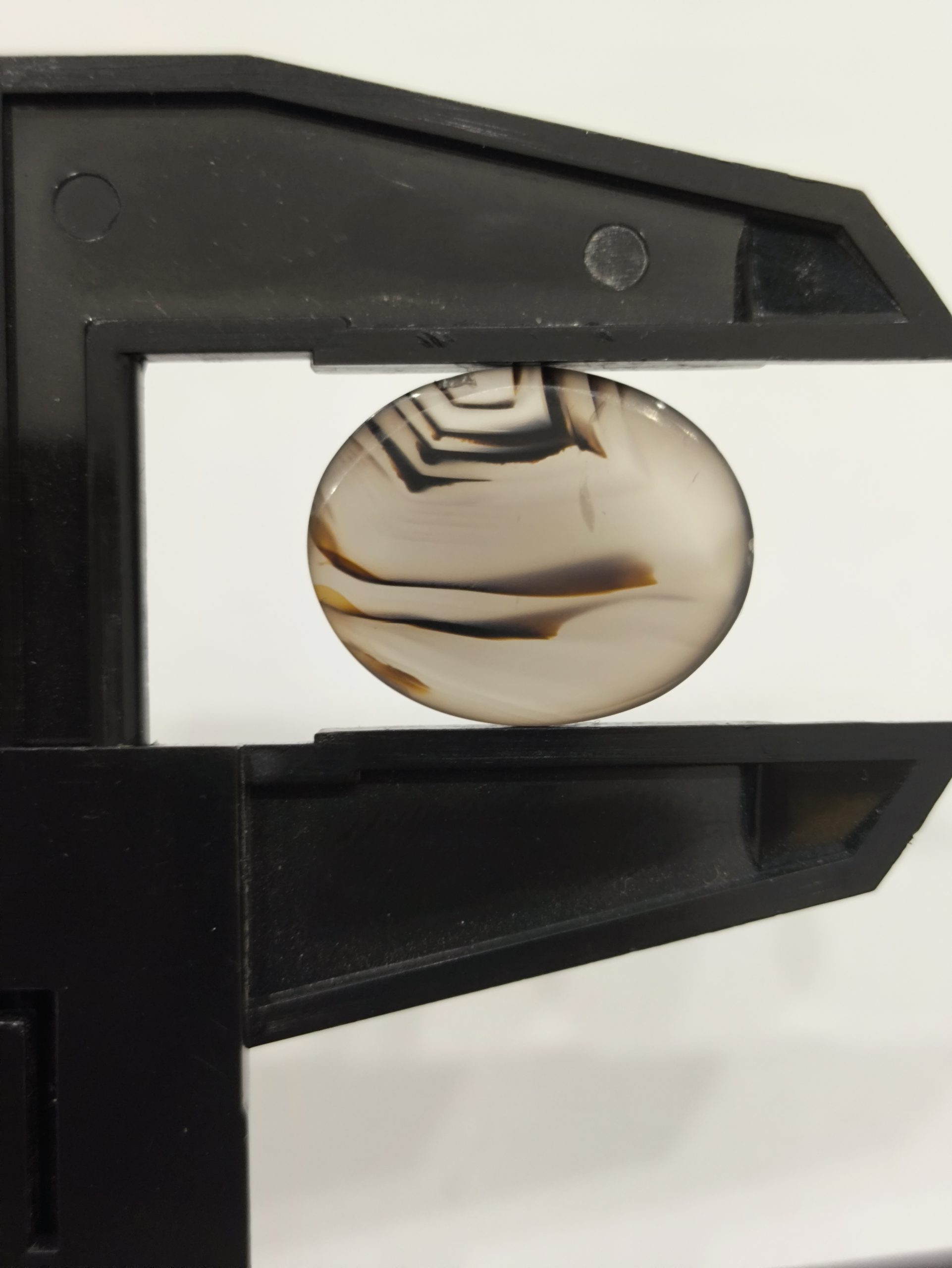 تصویر شجر طبیعی قائن کد 214 