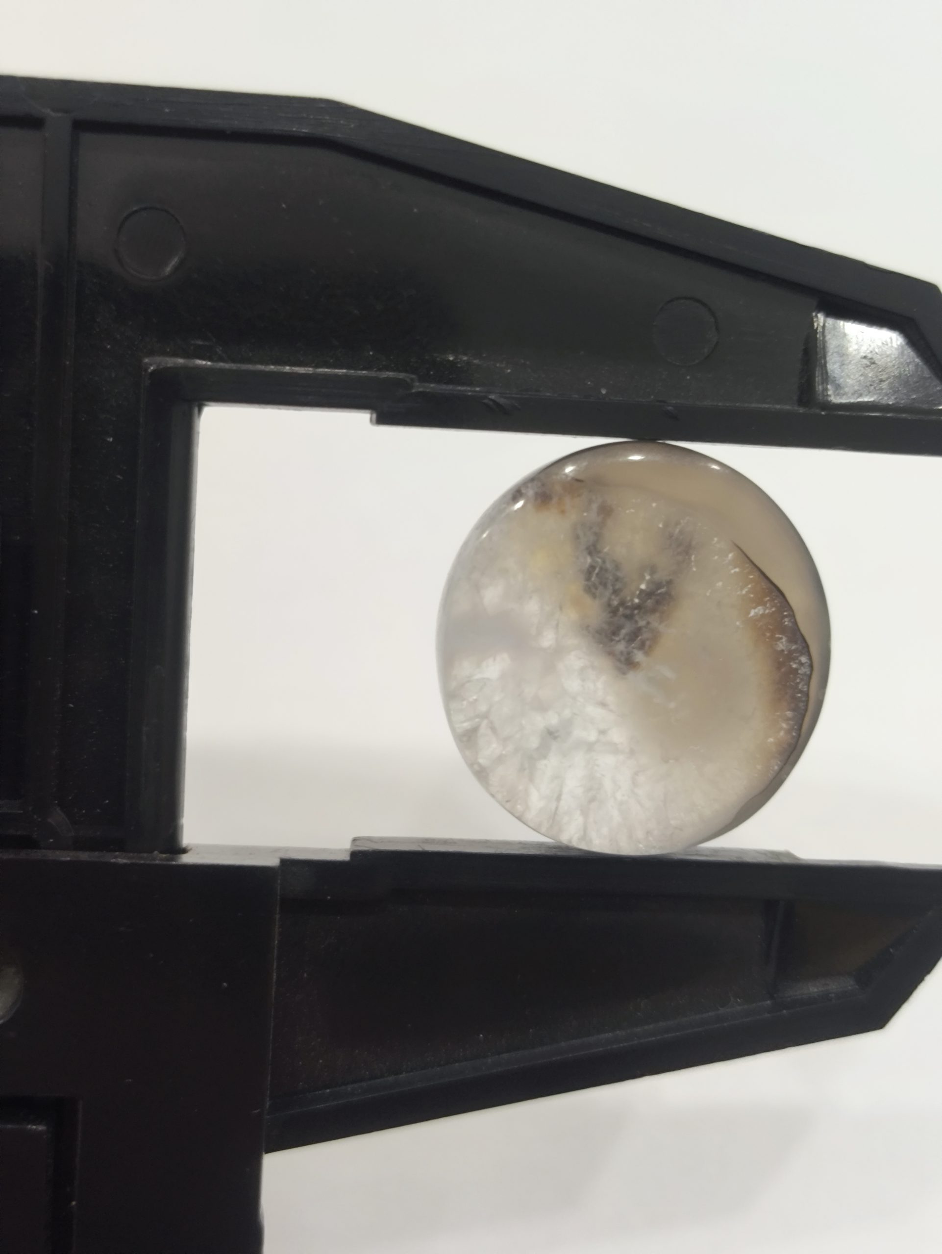 تصویر شجر طبیعی قائن کد 218 