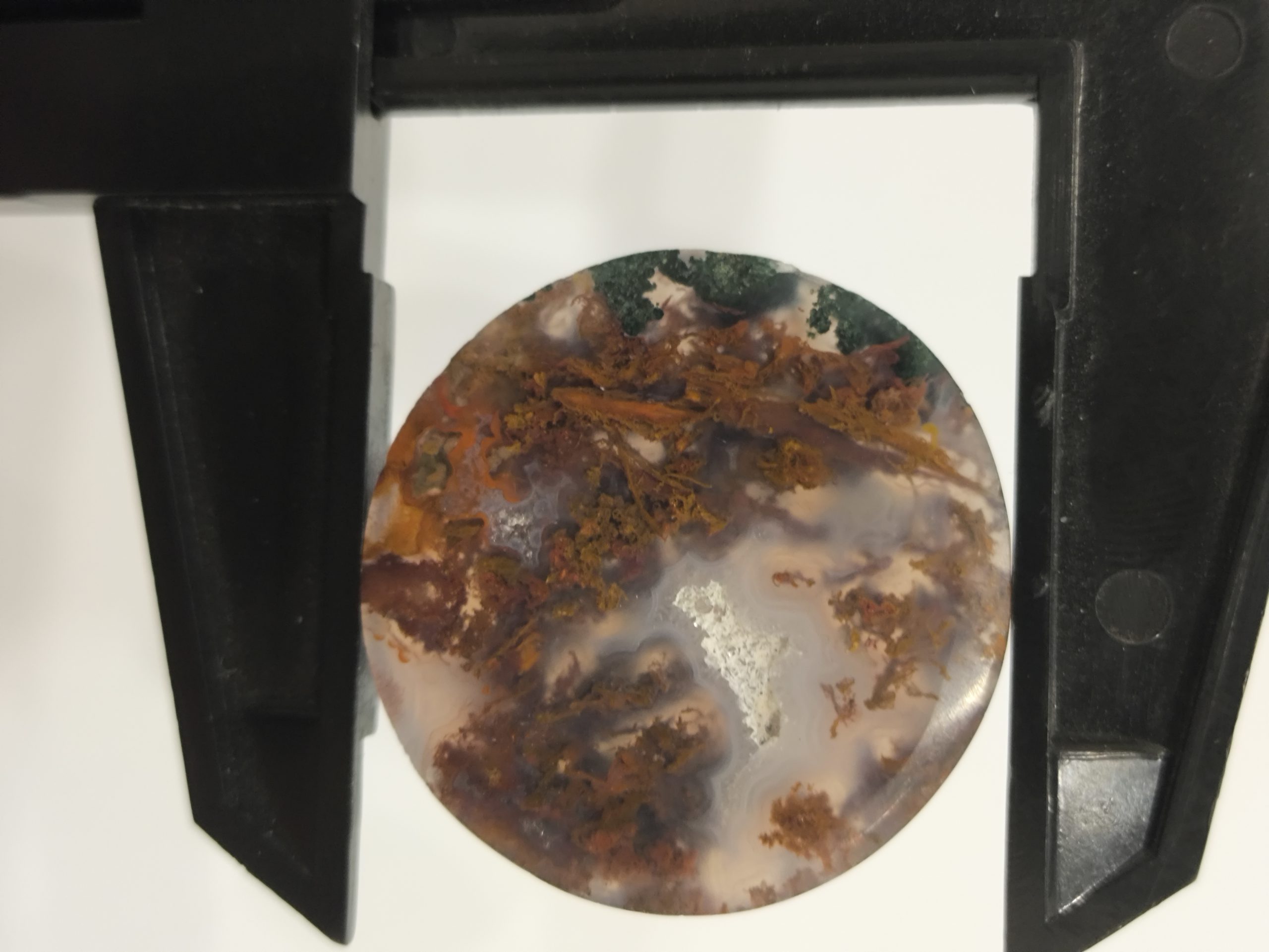 تصویر شجر پاییزی کد293 