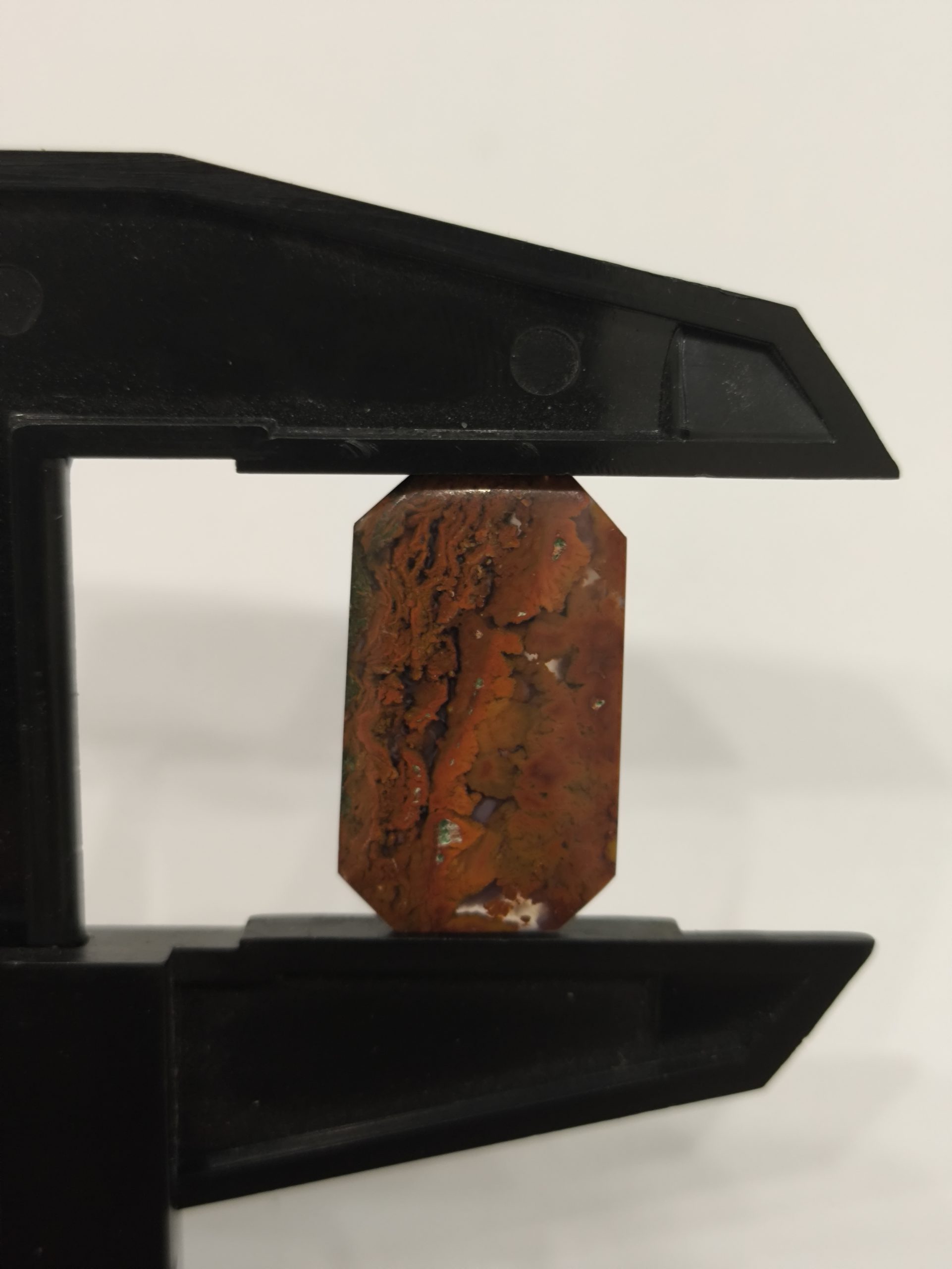 تصویر شجر پاییزی کد294 