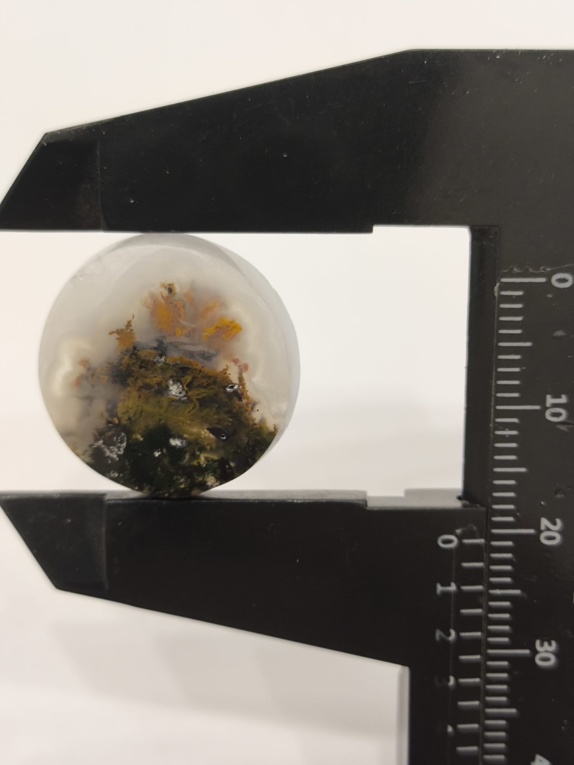 تصویر شجر پاییزی کد296 