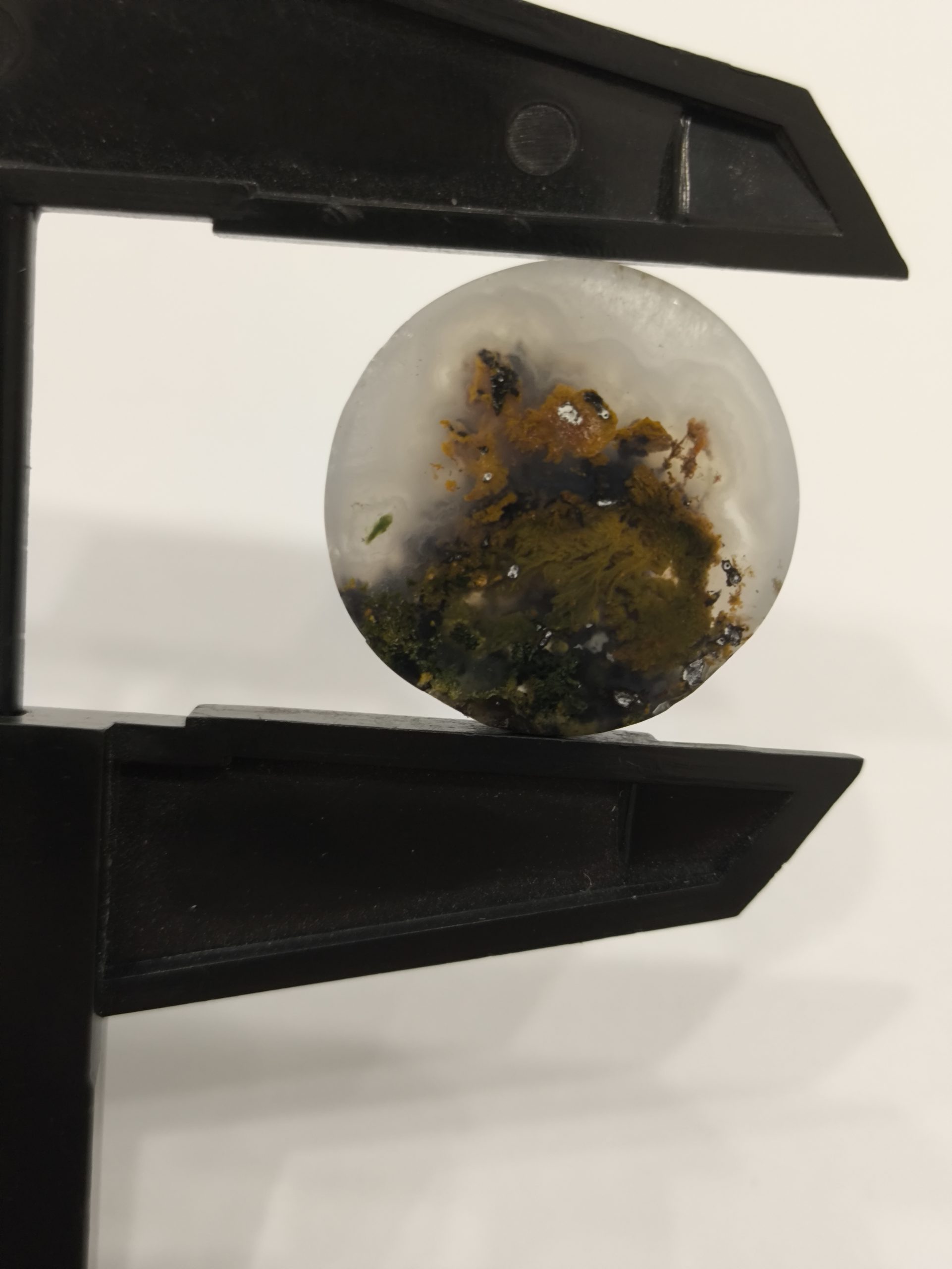 تصویر شجر پاییزی کد296 